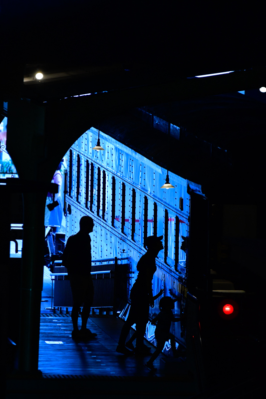 ニコンD500／AF-S NIKKOR 80-400mm f/4.5-5.6G ED VR／絞り優先オート（600mm相当・F5.6・1/180秒）／ISO 1600／WB:電球