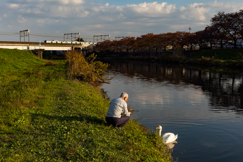 ソニーRX100 VII／絞り優先オート（35mm相当・F5・1/4,000秒）／ISO 800／WB:オート