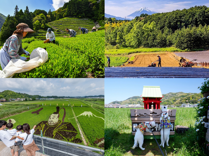 「#しずおかむらたび春2023」Instagramフォトコンテスト入選作品