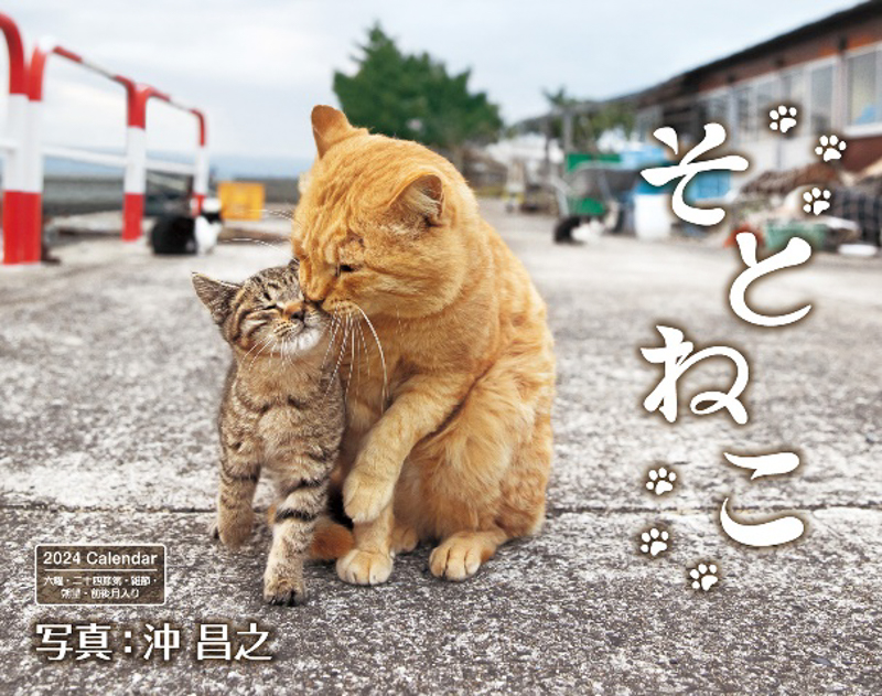 そとねこ