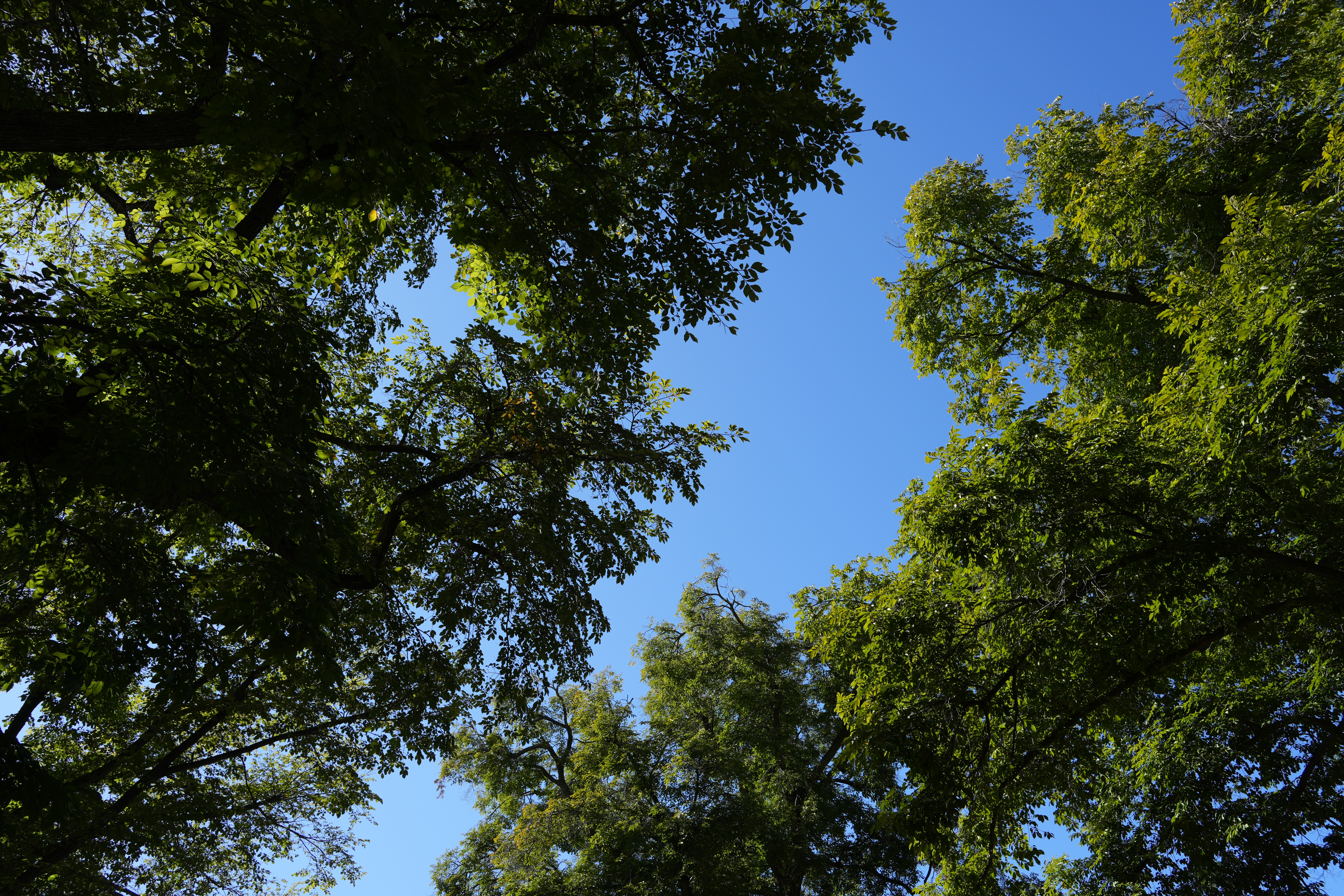 約6,100万画素のα7CRと共に使用していたが、画面を拡大しなければ解像感の違いはなかなか分からない<br><span class="fnt-85">α7C II／FE 28-60mm F4-5.6／28mm／絞り優先AE（1/250秒・F7.1・-0.7EV）／ISO 100／WB：オート</span>