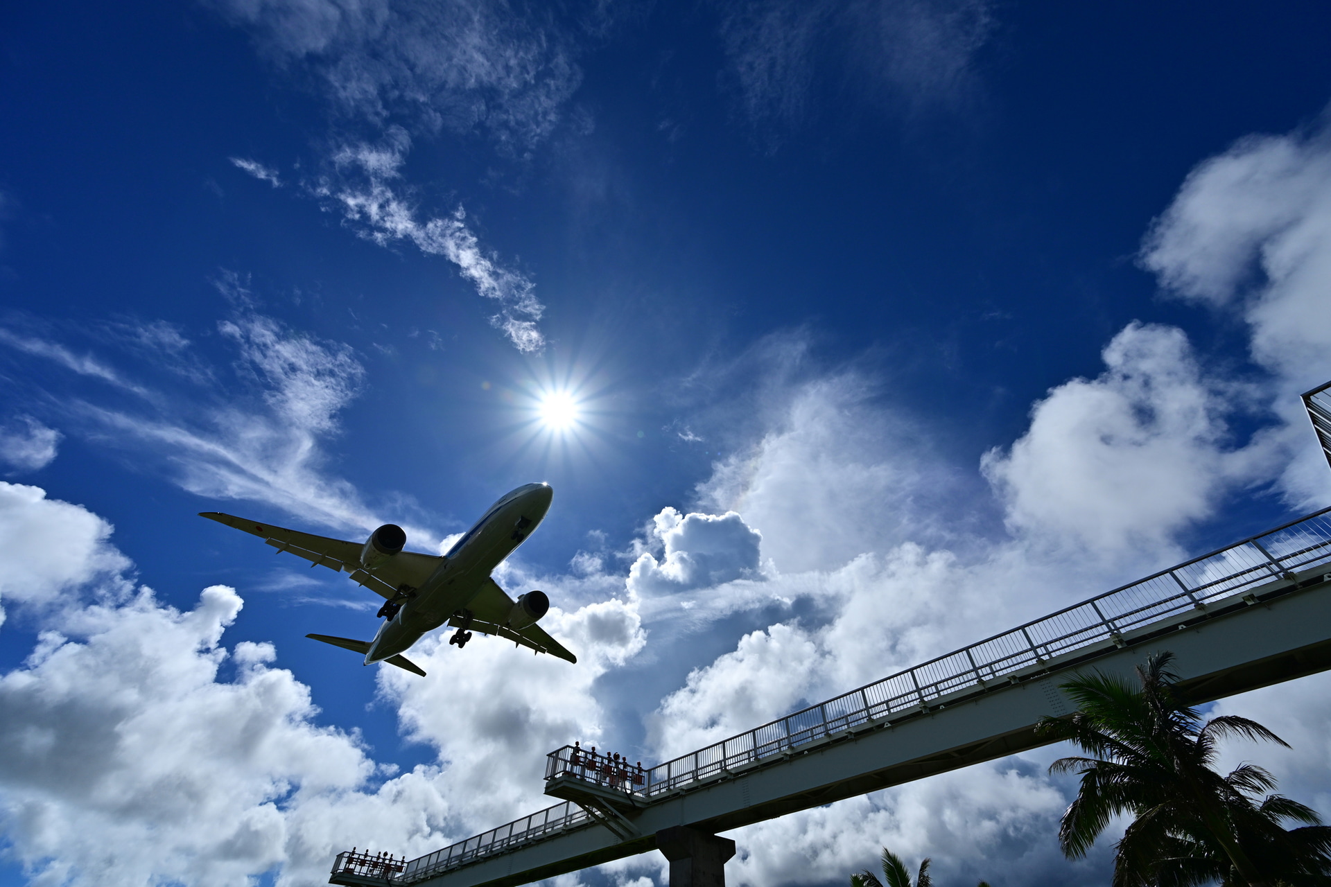 旅客機は軍用機と比べて速くないので、普段はそれほどの連写速度と枚数は必要ないのだが、風景と絡めるとなると話は別。着陸するボーイング787と太陽が重なる一連のシーンを捉えた<br><span class="fnt-85">ニコン Z 8／NIKKOR Z 14-30mm f/4 S／14mm／マニュアル露出（F8、1/3,000秒）／ISO 200／WB：晴天</span>