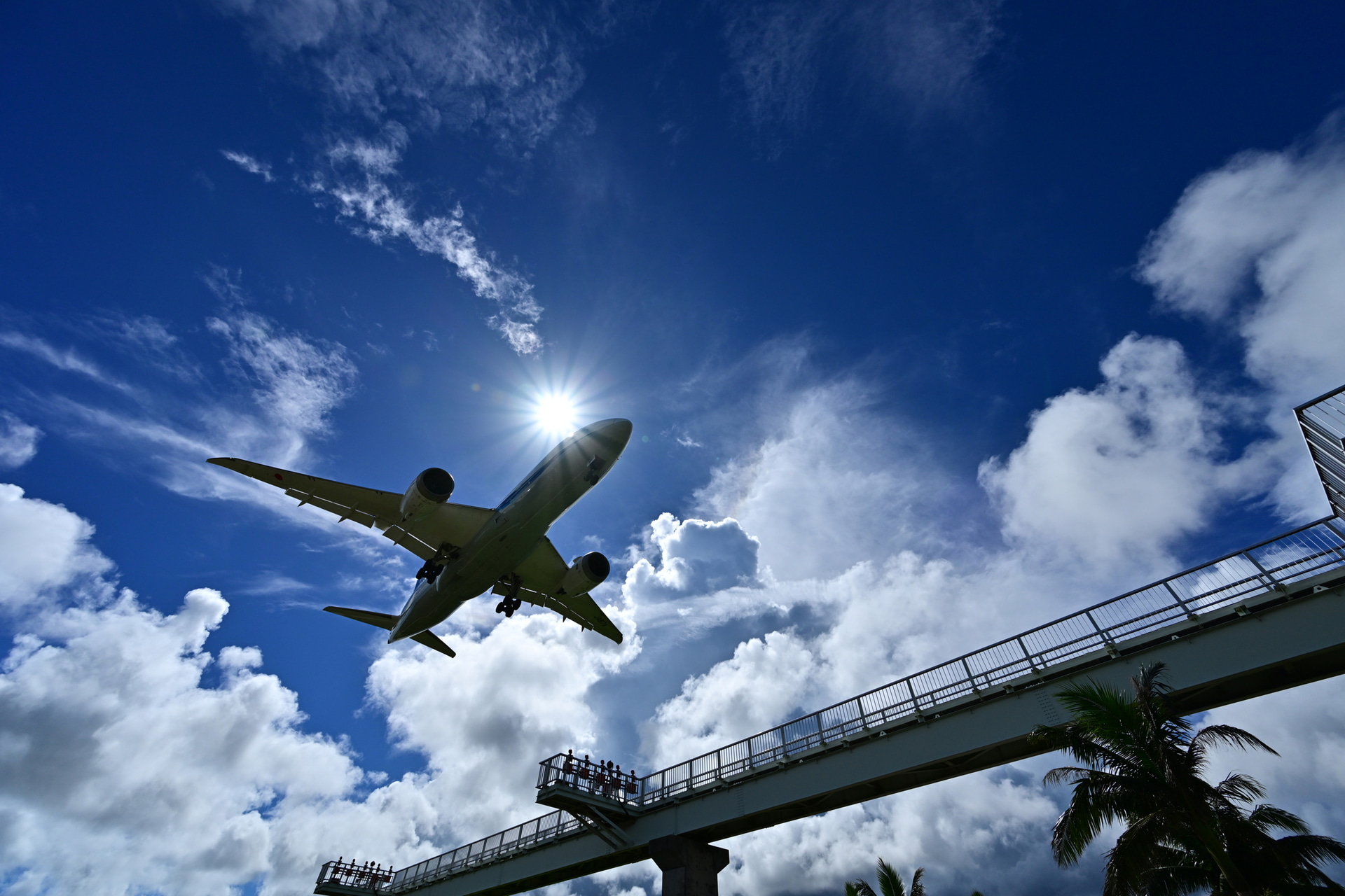 旅客機は軍用機と比べて速くないので、普段はそれほどの連写速度と枚数は必要ないのだが、風景と絡めるとなると話は別。着陸するボーイング787と太陽が重なる一連のシーンを捉えた<br><span class="fnt-85">ニコン Z 8／NIKKOR Z 14-30mm f/4 S／14mm／マニュアル露出（F8、1/3,000秒）／ISO 200／WB：晴天</span>