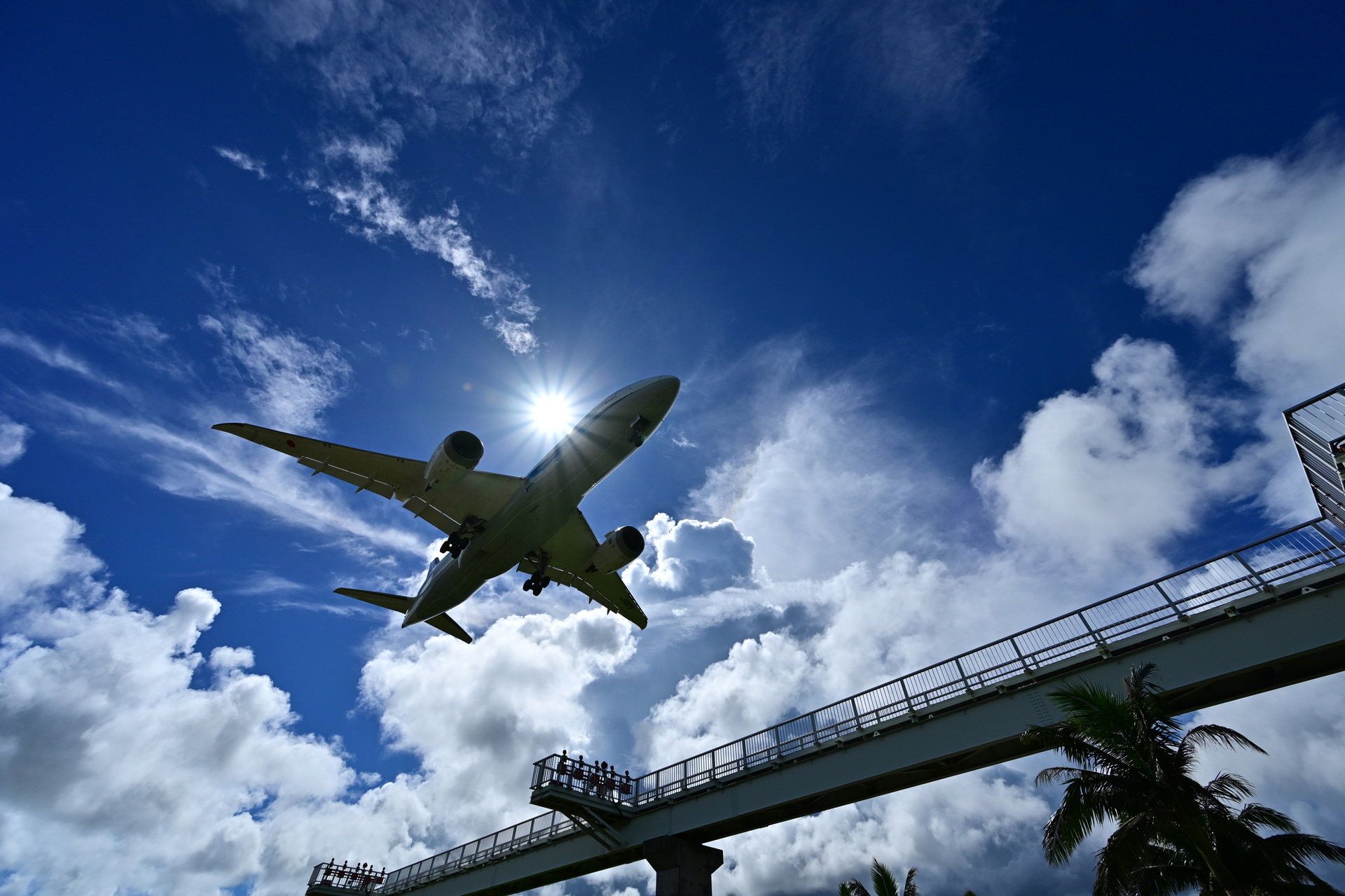 旅客機は軍用機と比べて速くないので、普段はそれほどの連写速度と枚数は必要ないのだが、風景と絡めるとなると話は別。着陸するボーイング787と太陽が重なる一連のシーンを捉えた<br><span class="fnt-85">ニコン Z 8／NIKKOR Z 14-30mm f/4 S／14mm／マニュアル露出（F8、1/3,000秒）／ISO 200／WB：晴天</span>