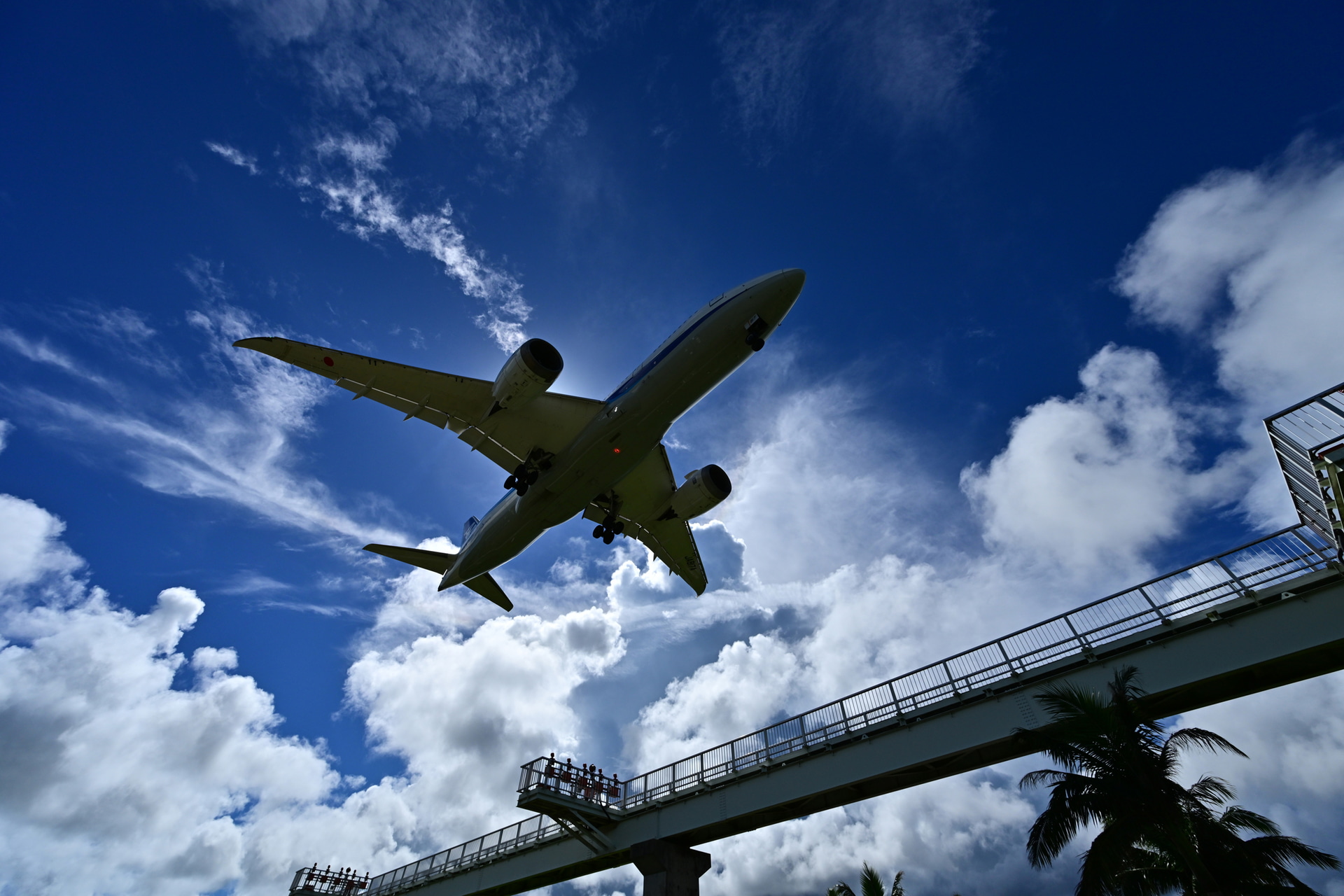 旅客機は軍用機と比べて速くないので、普段はそれほどの連写速度と枚数は必要ないのだが、風景と絡めるとなると話は別。着陸するボーイング787と太陽が重なる一連のシーンを捉えた<br><span class="fnt-85">ニコン Z 8／NIKKOR Z 14-30mm f/4 S／14mm／マニュアル露出（F8、1/3,000秒）／ISO 200／WB：晴天</span>