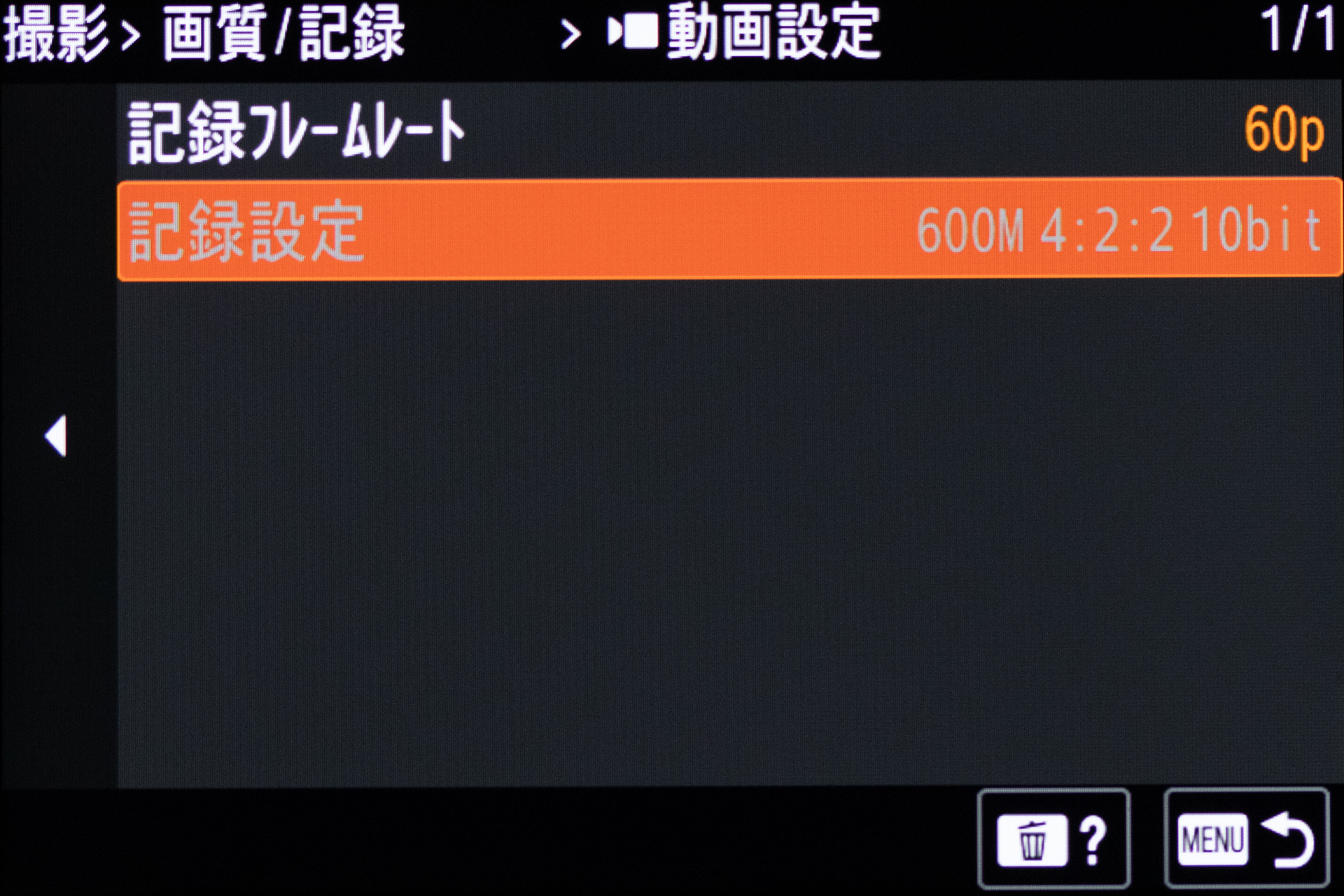 イントラ形式では「4:2:2 10bit」の部分は固定となる