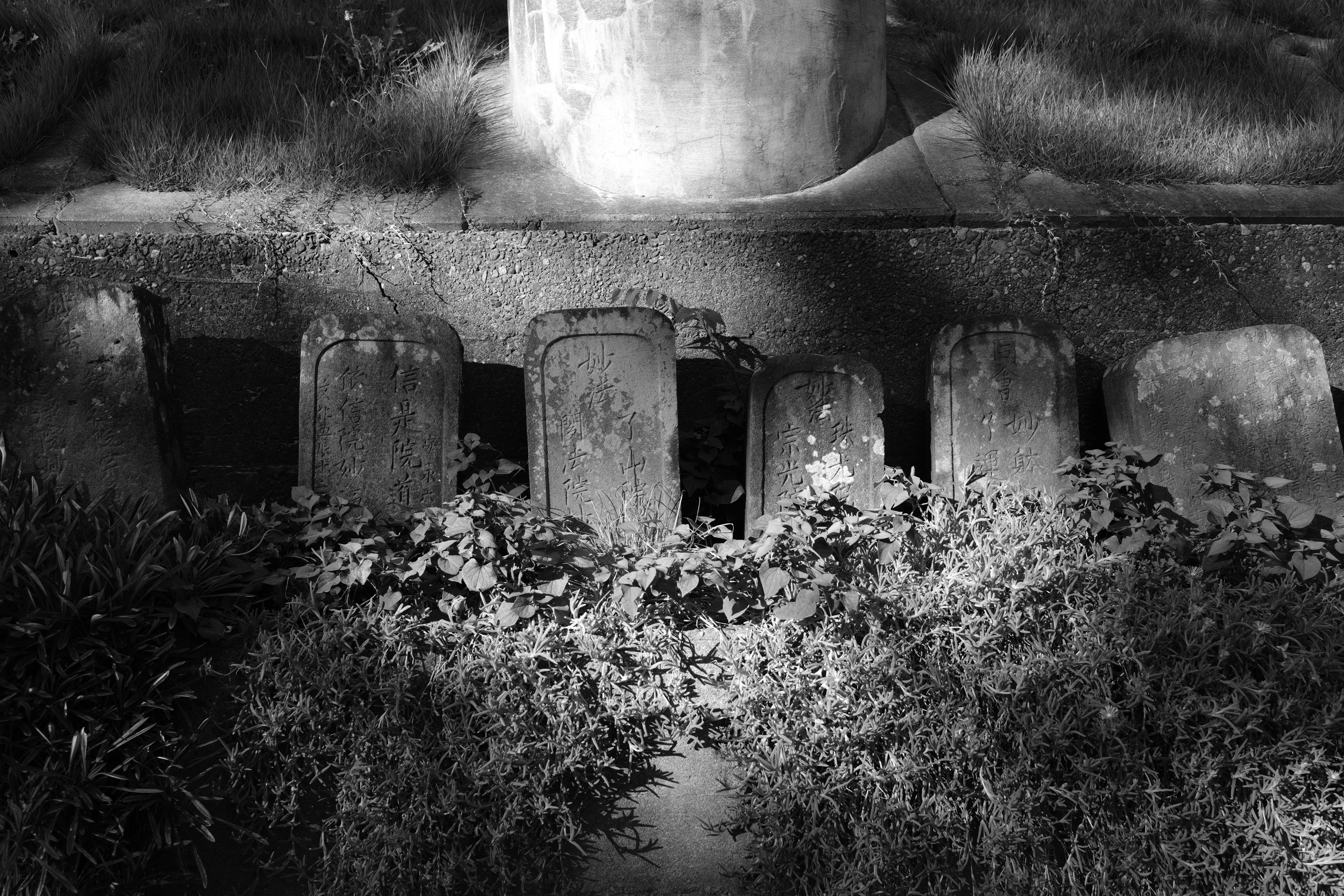 X-H2S／SIGMA 23mm F1.4 DC DN｜Contemporary／23mm（35mm相当）／絞り優先AE（1/350秒、F4.0、−0.3EV）／ISO 160