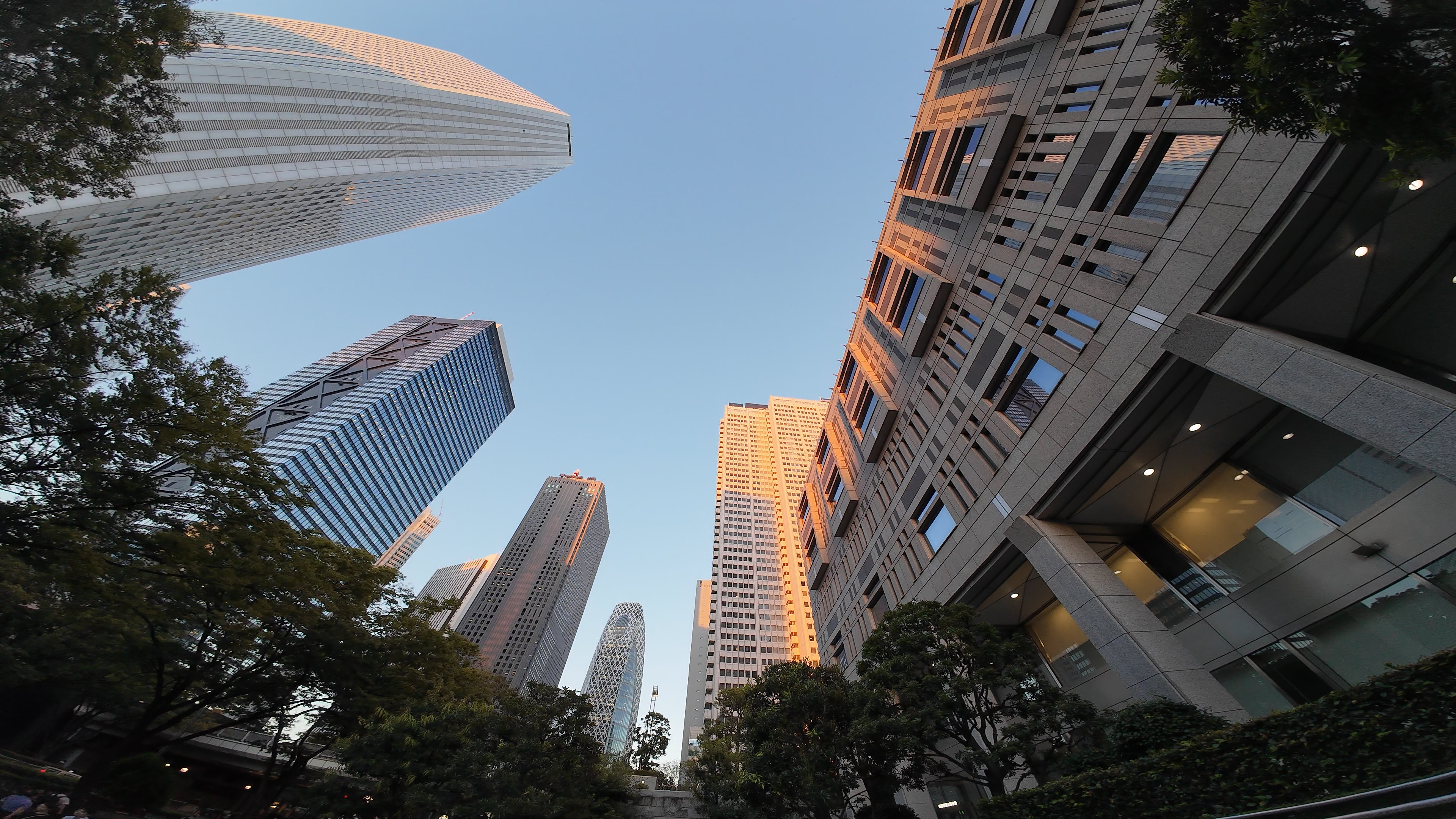 視野角「超広角（9mm）」で撮影した動画から切り出した画像。FOVが155度で周囲が湾曲しているため、魚眼レンズのような写りになる。湾曲を避けたいときは、「標準（歪み補正）」の設定にすればOK。フルサイズ換算14mmレンズの画角で撮影できる