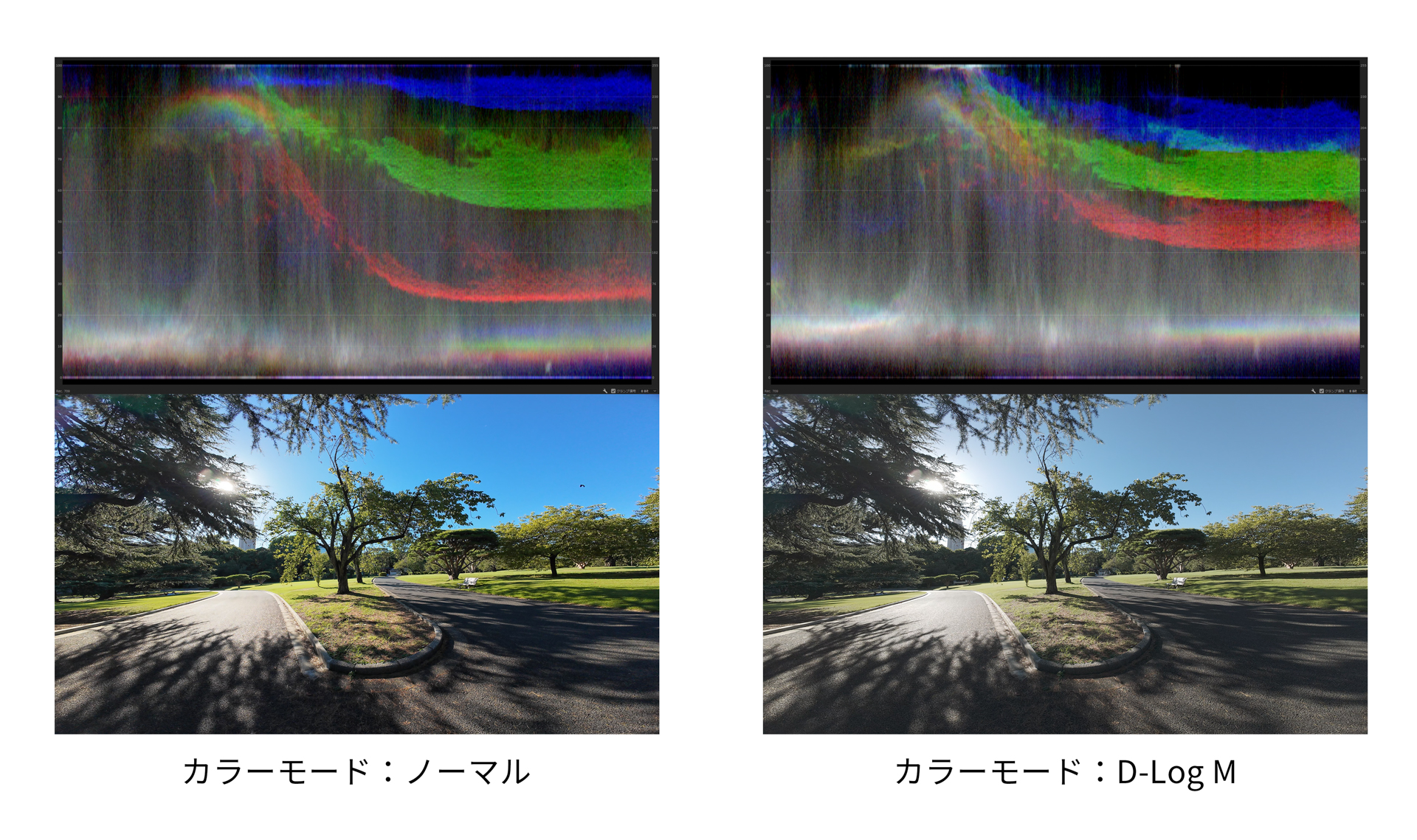 左が「ノーマル」、右が「D-Log M」で撮影した映像を切り出したもの。各映像のスコープを確認すると、D-Log Mのほうがスコープの上下に余裕があり、中間調付近にカラーが集まっていることが分かる。色の飽和まで余裕があるため、イメージする色調が作りやすいということ
