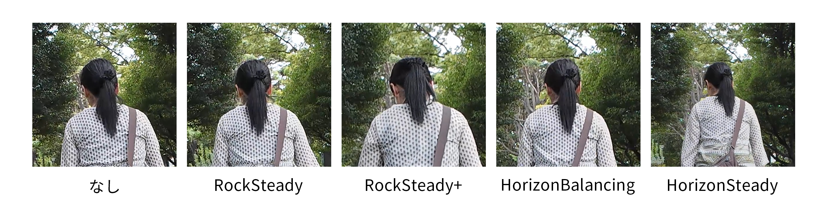 映像ブレ補正がオフの画像は「線の細い輪郭」で細部までスッキリと描写されているが、意図的に観察しないと気にならないレベル。動画で見る分には静止画像ほどの違いは感じられない。また、クロップ率がもっとも高いHorizonSteadyは2.4Kサイズに制限され、補間処理も少なくて済むため、HorizonBalancing（4Kでもっともクロップ率が高い設定）よりも繊細に見えている