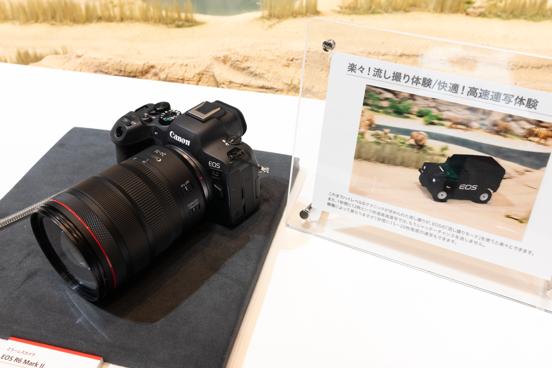 EOS R6 Mark II