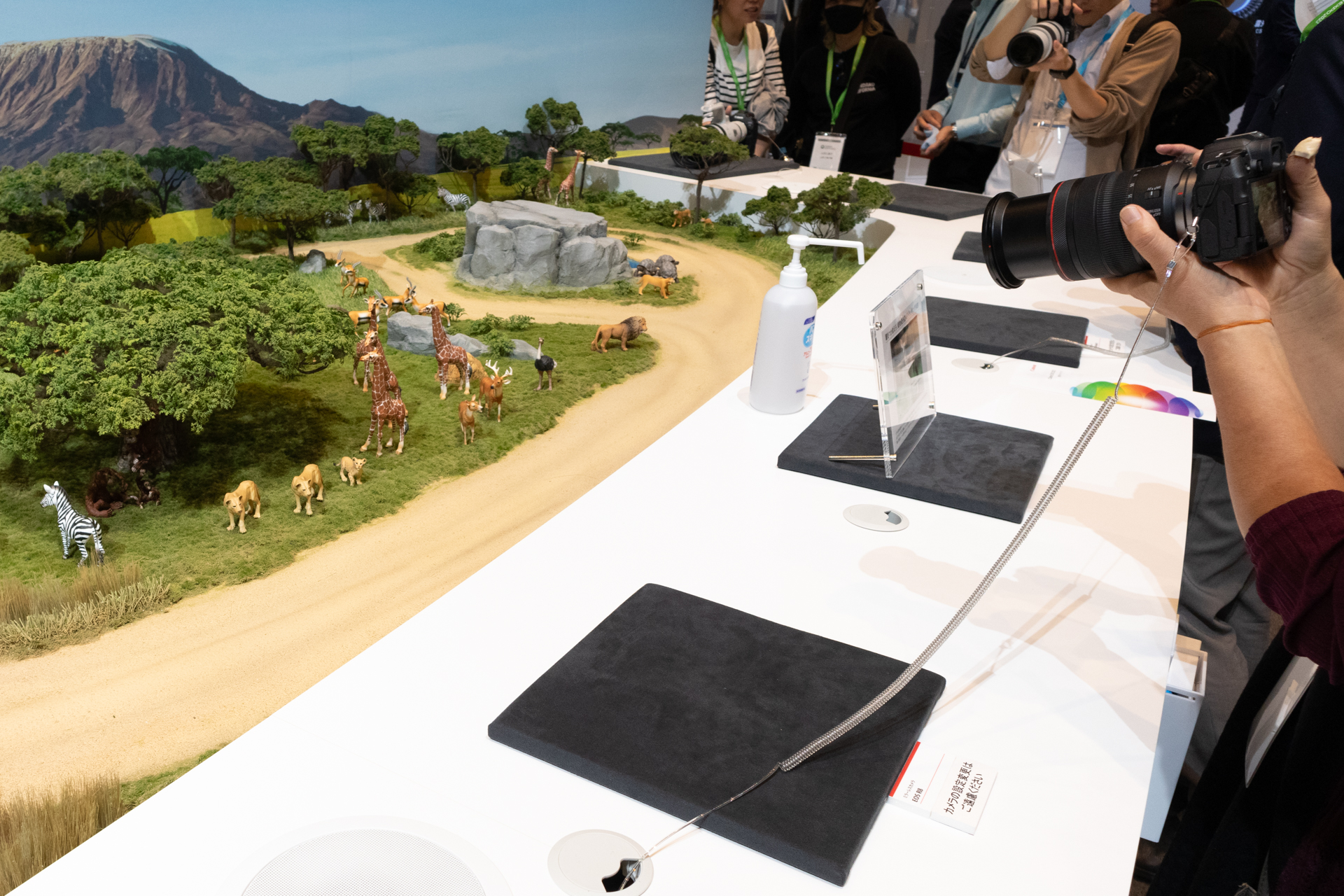 動物検出も試せる