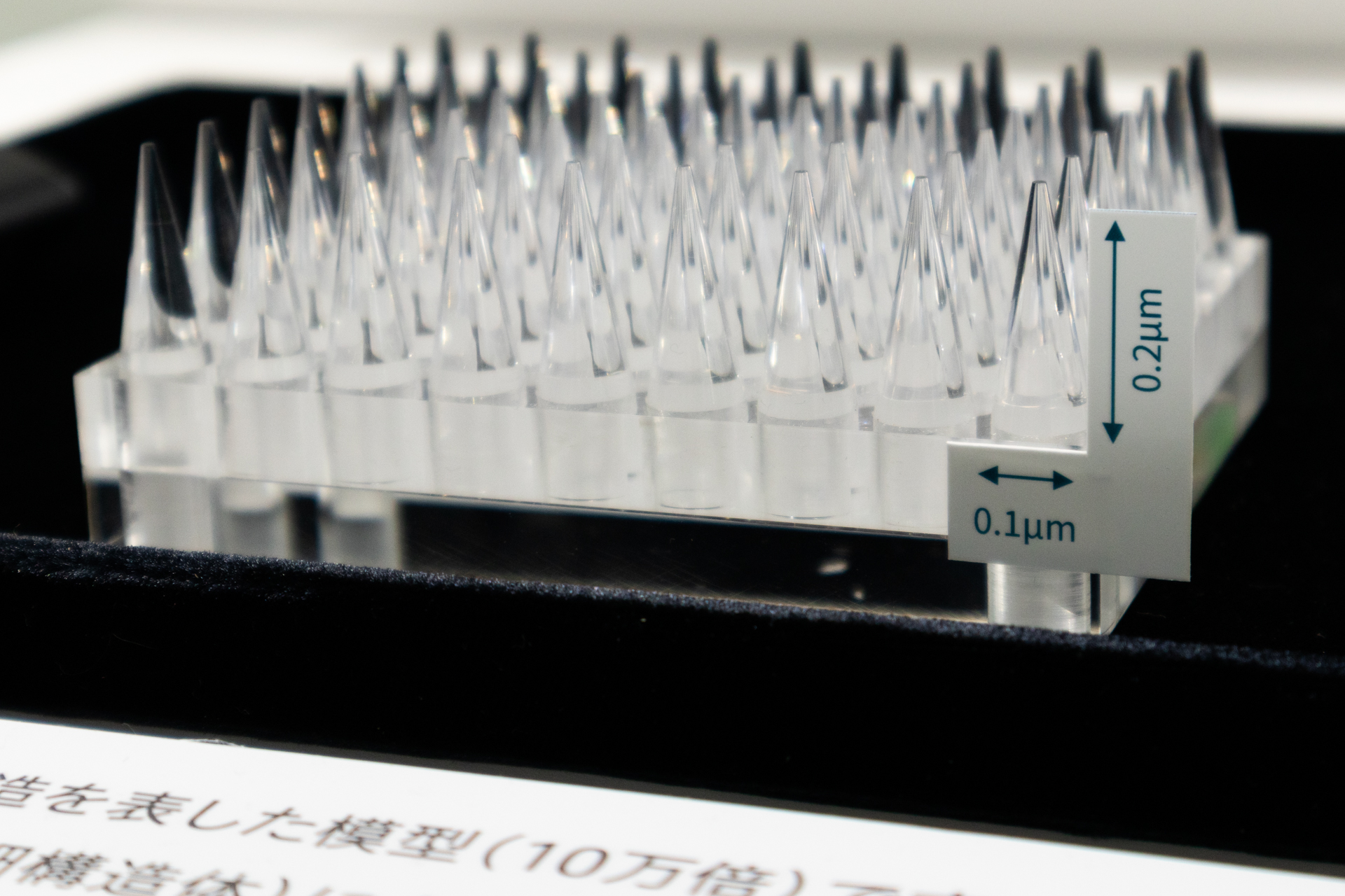 SWCを10万倍に拡大した模型