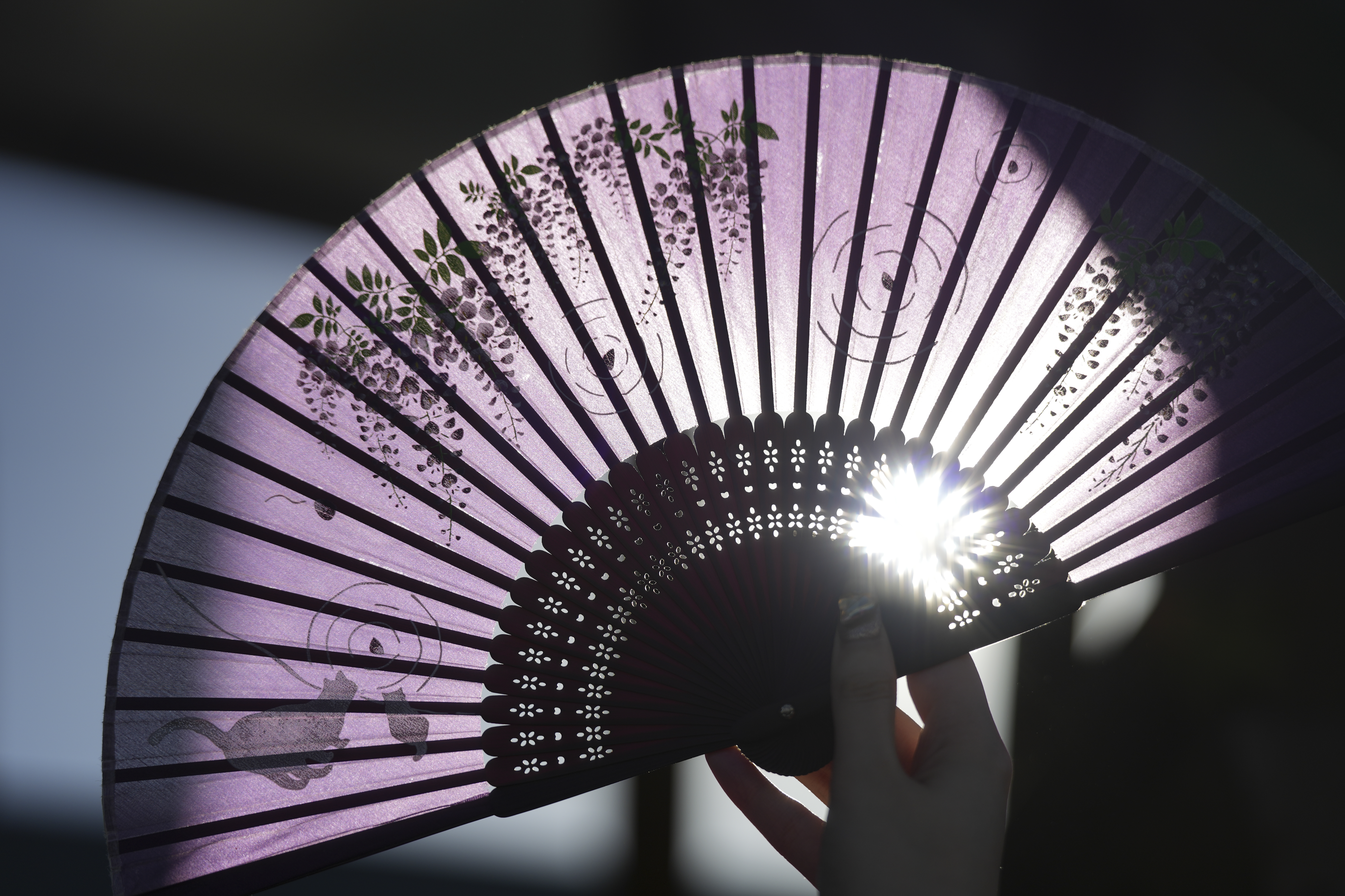 α7 IV／70-180mm F/2.8 Di III VC VXD G2／99mm／絞り優先AE（1/8,000秒、F2.8、−0.3EV）／ISO 100