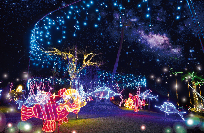 ひかりの海～植物園から海の世界へ～