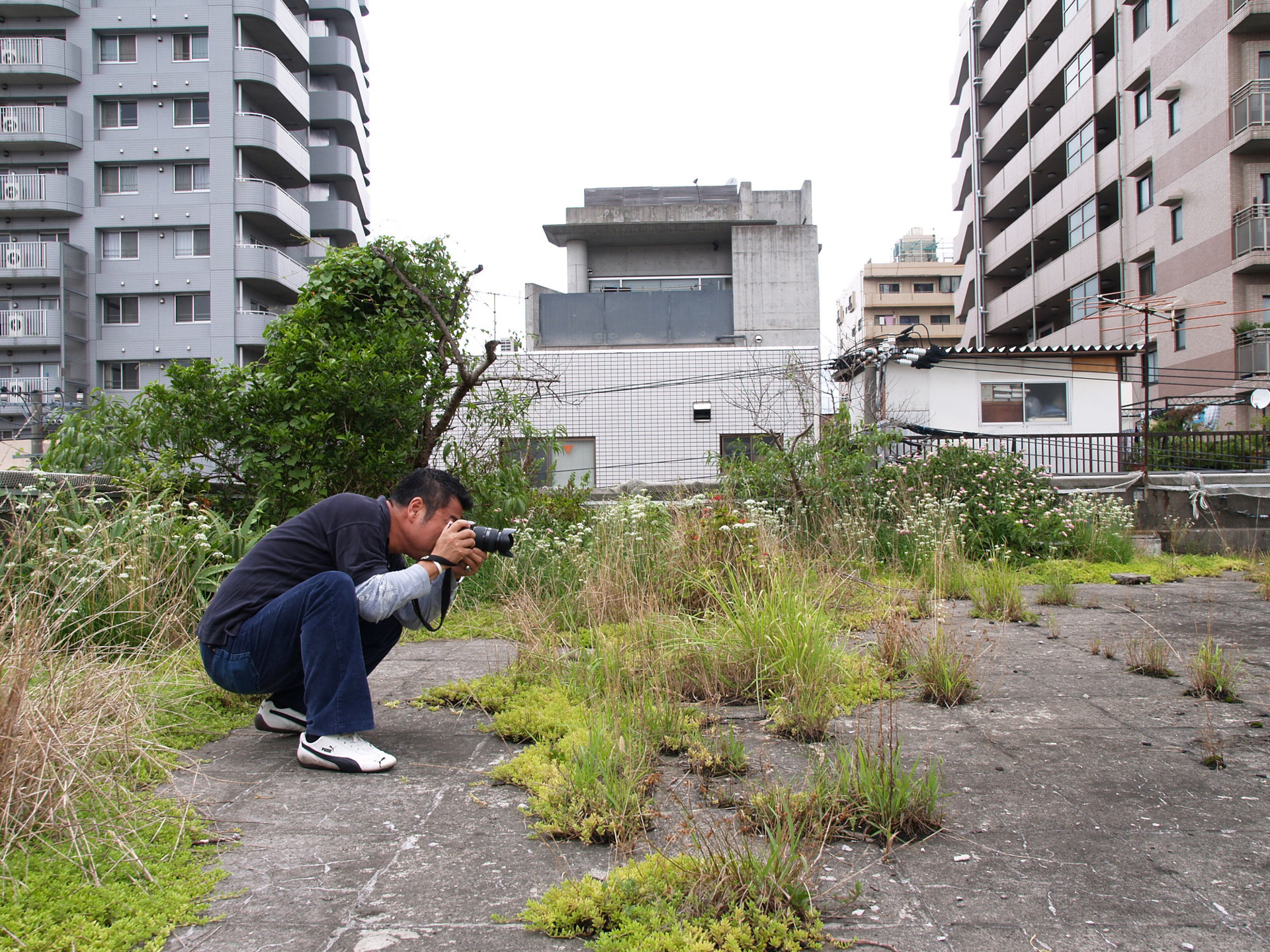 屋上は2階の上なので近隣のマンションに囲まれている感じ。伸び放題の植物とちょっとしたガラクタが転がっている異質で不思議な空間だった