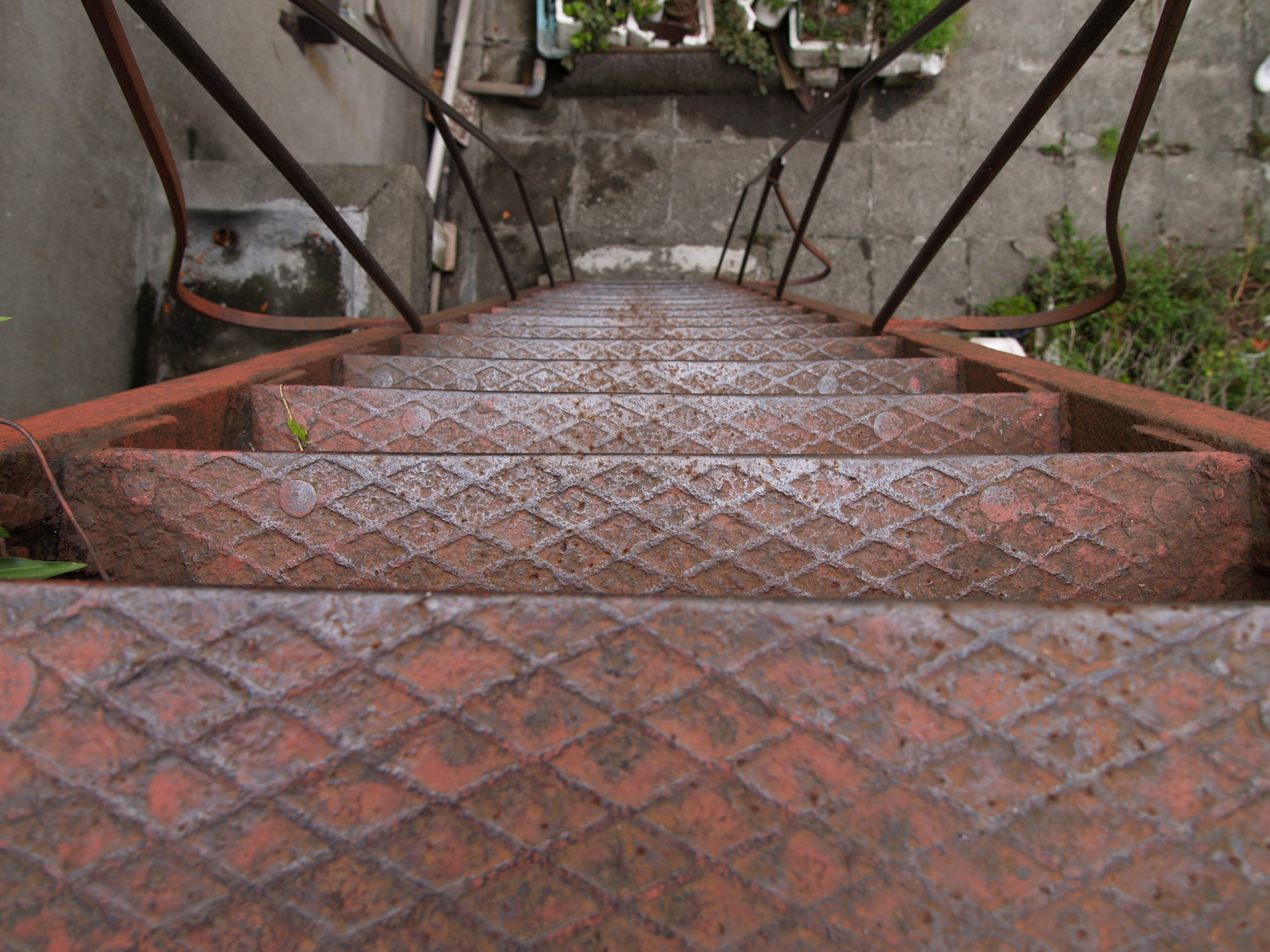 梯子を屋上側から見た状態