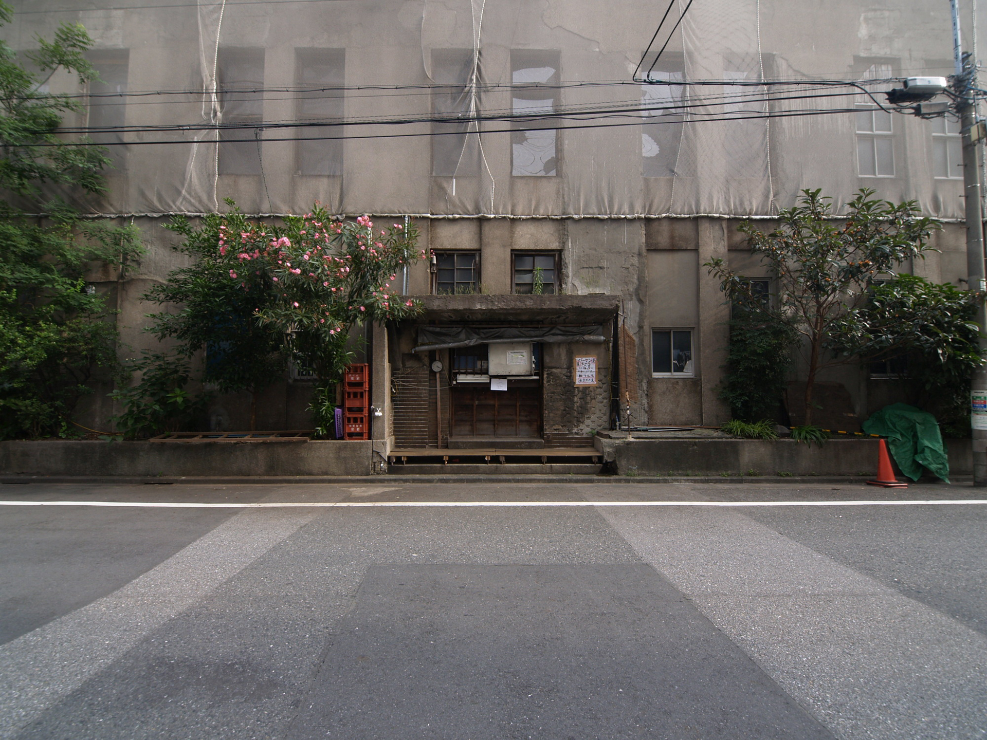 外から見た建物の側面