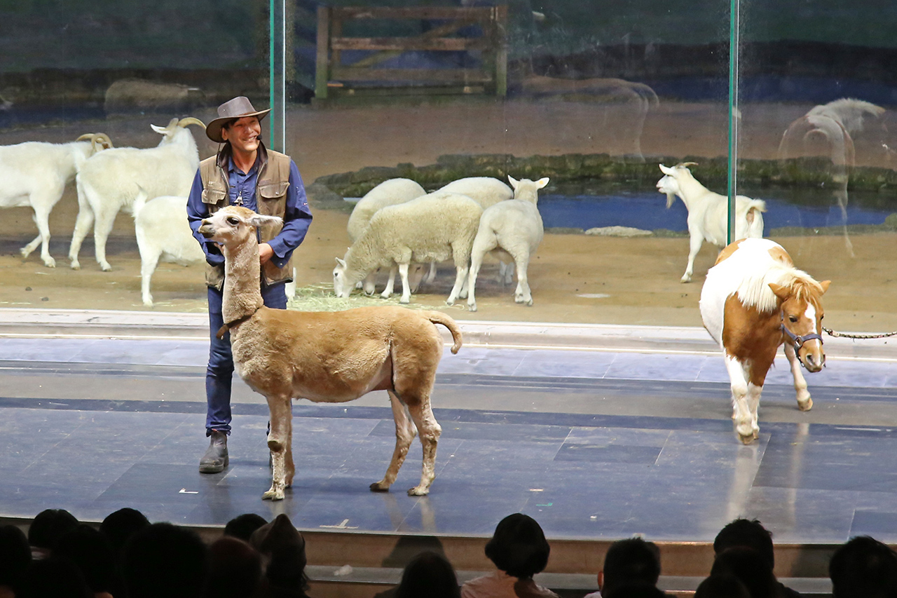 ナイトファームショー