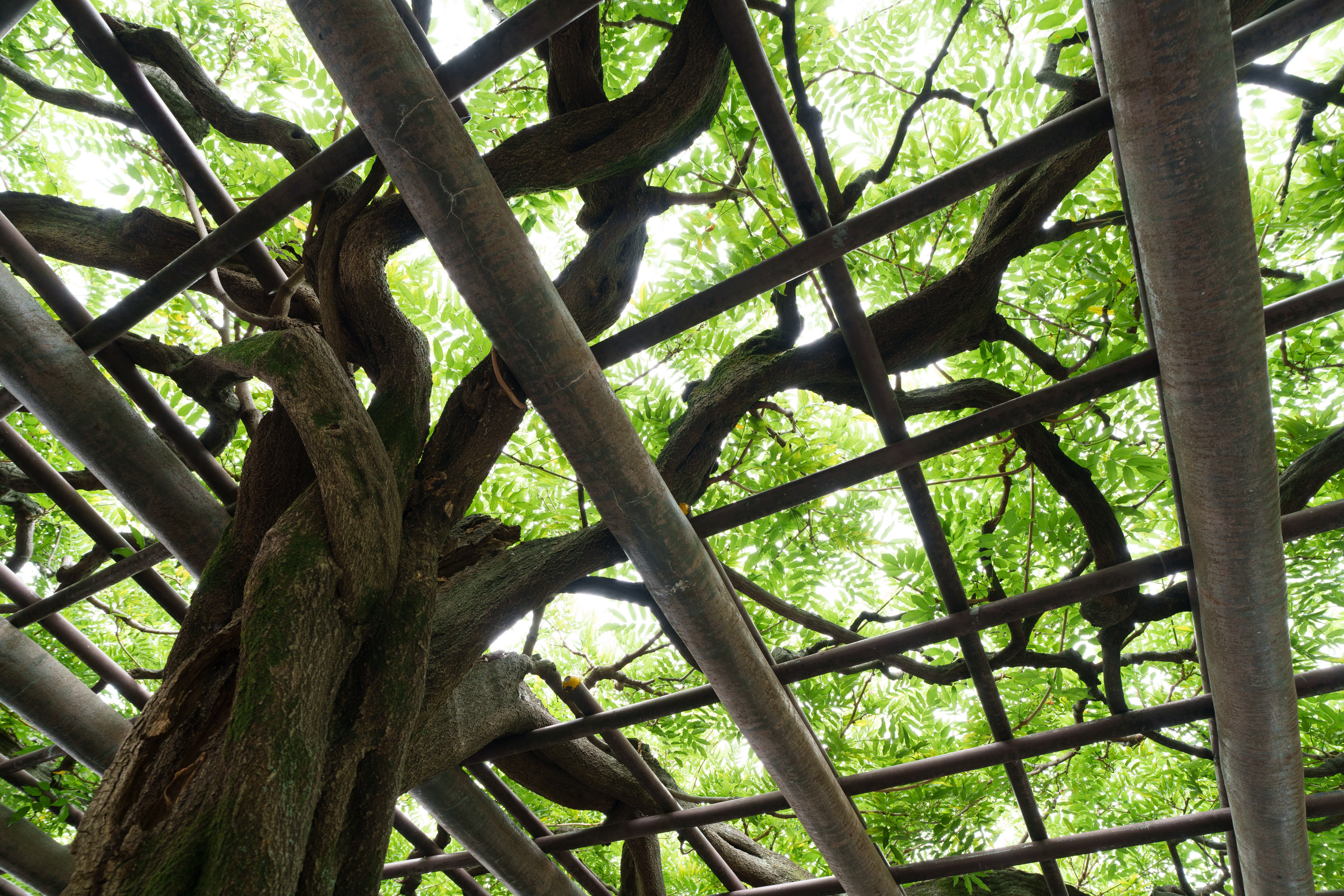 α7R V／FE 16-35mm F2.8 GM II／16mm／絞り優先AE（1/30秒、F8.0、＋1.0EV）／ISO 640