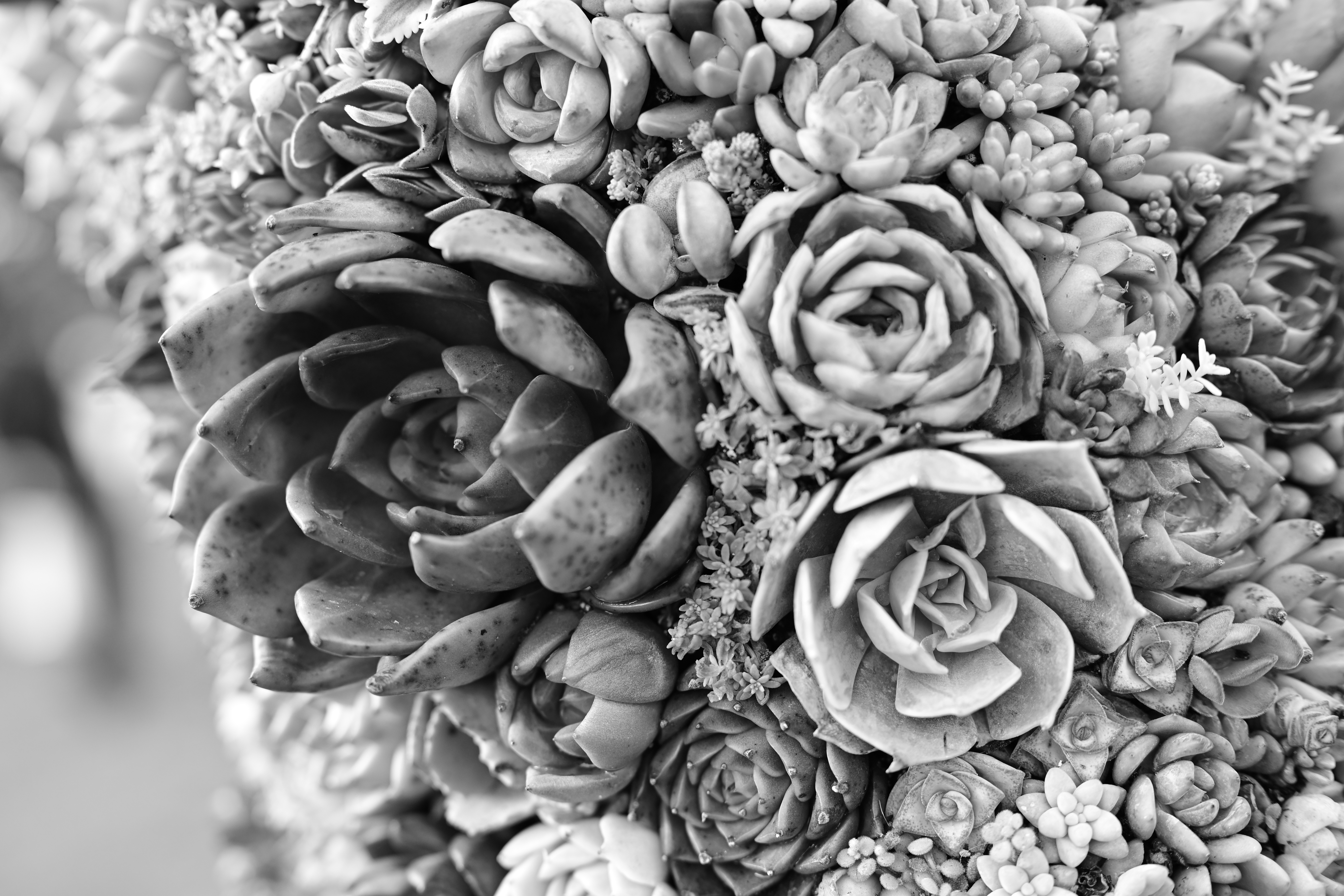 Z f／NIKKOR Z 50 f/1.8 S／50mm／絞り優先AE（1/160秒・F2.8・±0EV）／ISO 400／WB：オート