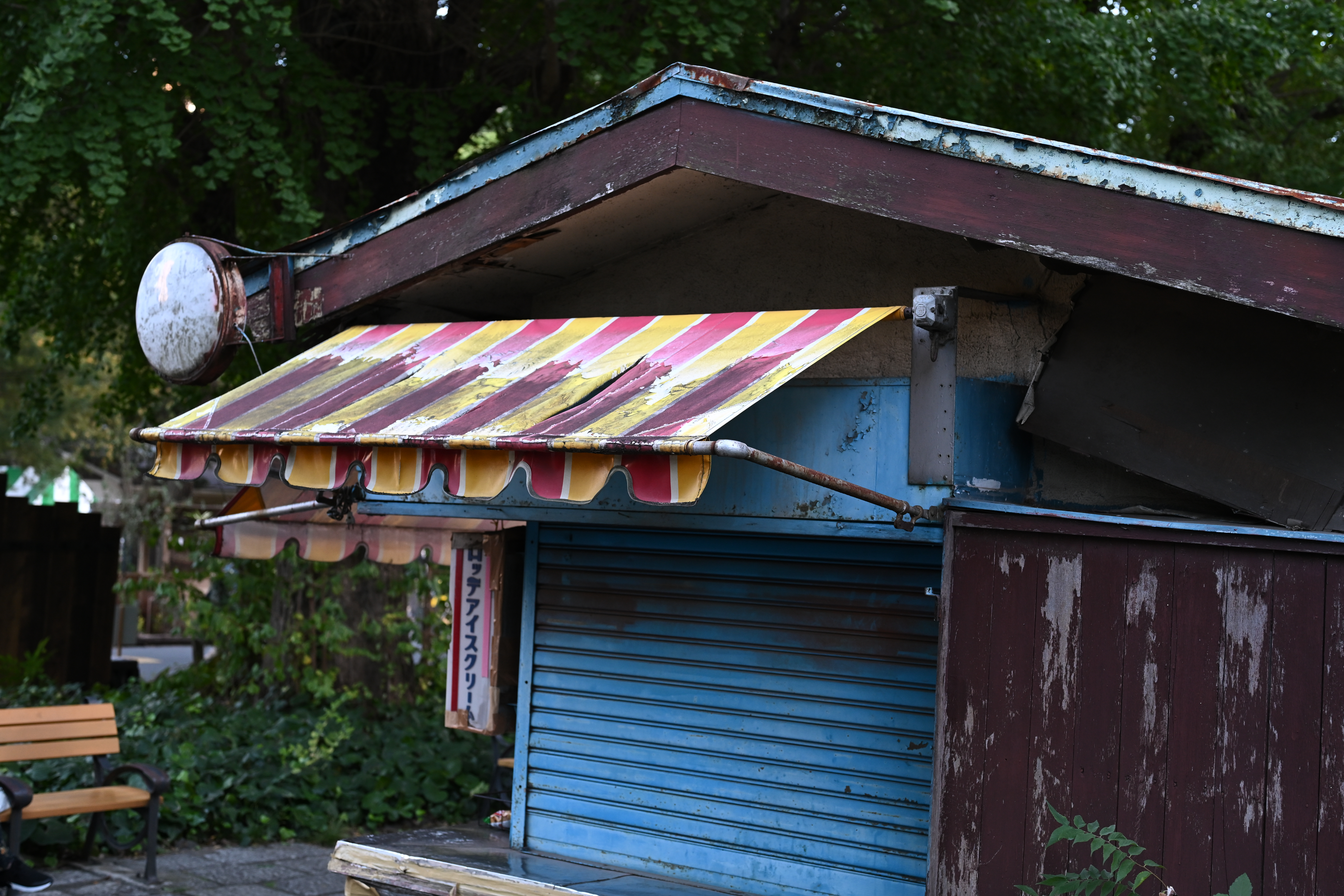 Z f／NIKKOR Z 50 f/1.8 S／50mm／絞り優先AE（1/200秒・F4・±0EV）／ISO 800／WB：オート