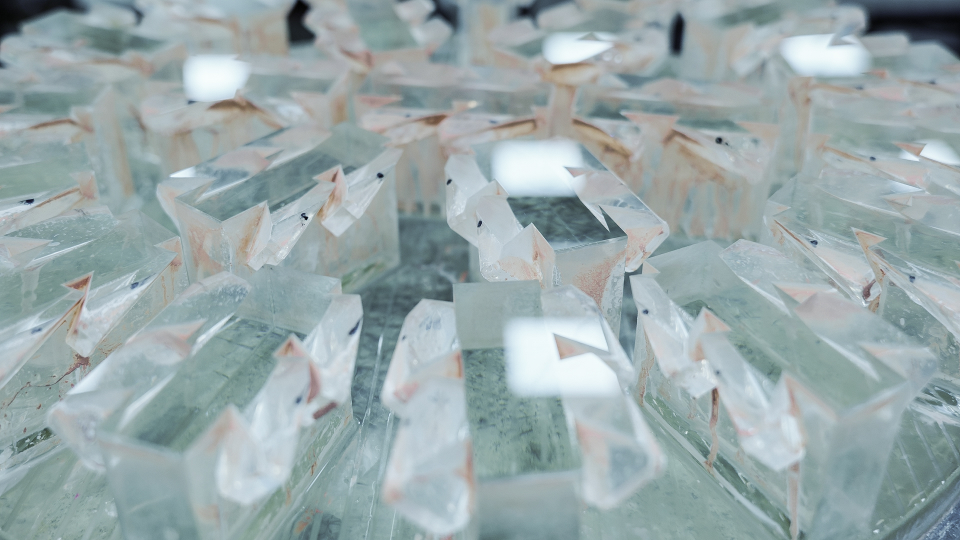 プリズムの研磨工程。大きな丸い研磨パッドが上から降りてきて、それが回転する