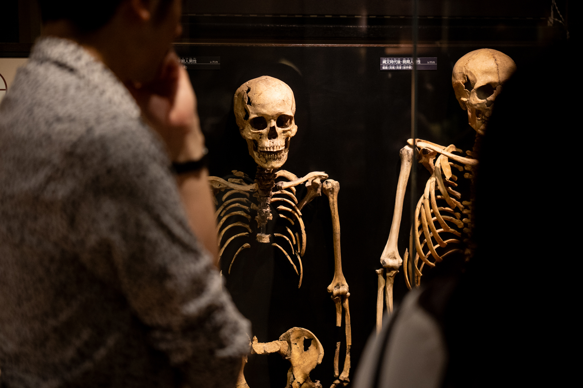 博物館の中なので光線状態はあまりよくないけど、丹念に光を拾って繋げてくるような印象です。エッジにキレを感じますし、コントラストも良い感じです。AWBも良い感じに色を拾うのを手助けしてくれています<br>LUMIX S5IIX／28-70mm F2.8 DG DN／絞り優先AE（70mm・F2.8・1/250秒・-1EV）／ISO 3200