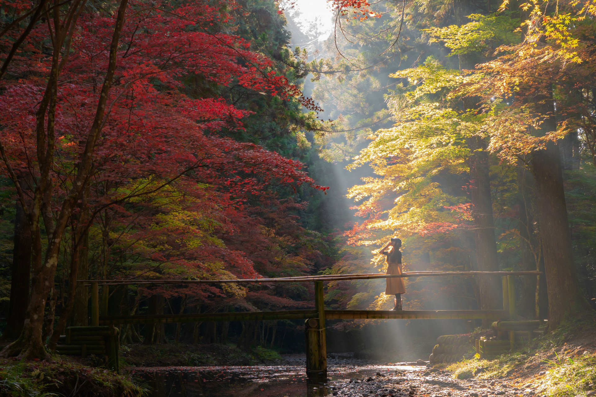 α6300／Vario-Tessar T* FE 24-70mm F4 ZA OSS／42mm／絞り優先AE（1/13秒・F7.1・-0.3EV）／ISO 100／WB：マニュアル	https://ganref.jp/m/204879jun/portfolios/photo_detail/4772340