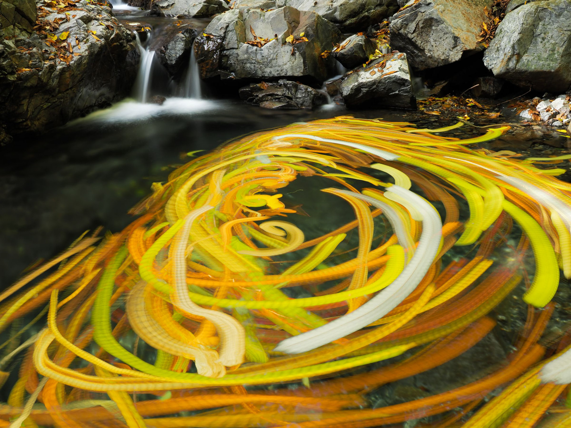 OM-D E-M1 Mark III／M.ZUIKO DIGITAL ED 12-100mm F4.0 IS PRO／20mm／マニュアル露出（1.6秒・F1.6）／ISO 200／WB：マニュアル	https://ganref.jp/m/fittjpworka/portfolios/photo_detail/5020021