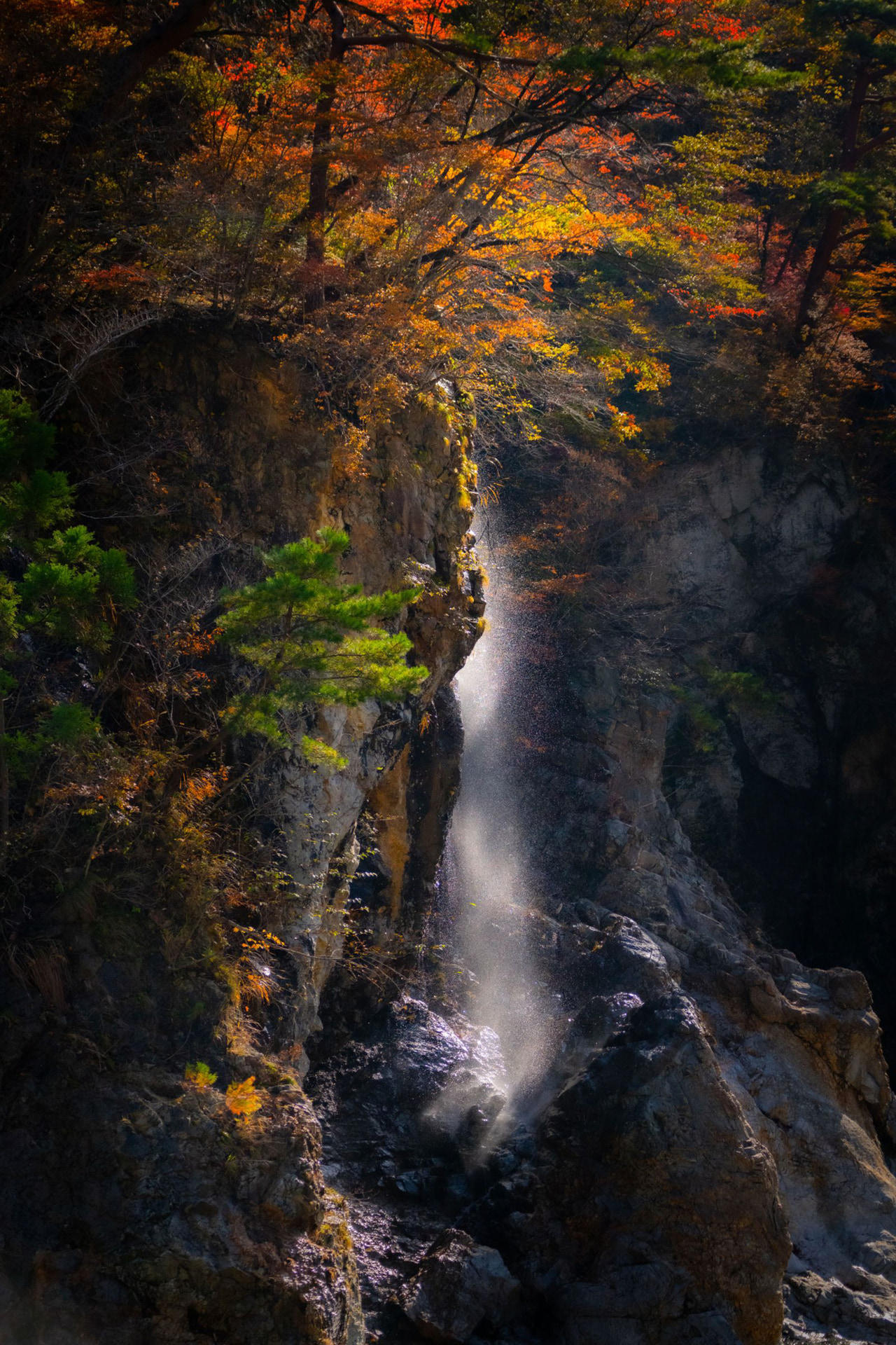 α7R III／70-300mm F4.5-5.6 G SSM／85mm／マニュアル露出（1/4,000秒・F4.5・-0.3EV）／ISO 3200／WB：オート	https://ganref.jp/m/kin-taro/portfolios/photo_detail/4283842