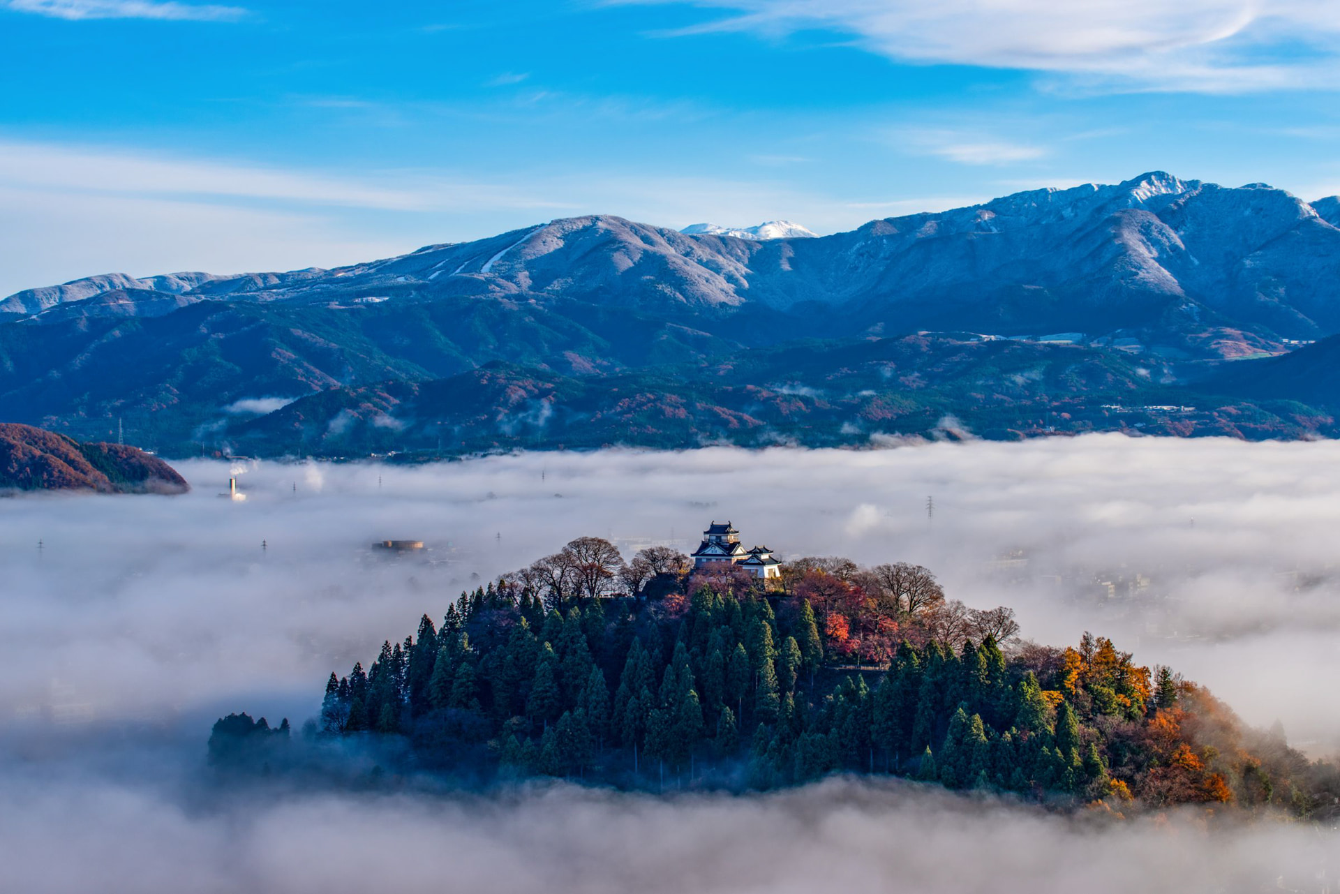 PENTAX K-1／SP AF70-200mm F/2.8 Di LD [IF] MACRO／70mm／絞り優先AE（1/160秒・F10・-1.0EV）／ISO 100／WB：オート	https://ganref.jp/m/ikusennnohosi/portfolios/photo_detail/5032830