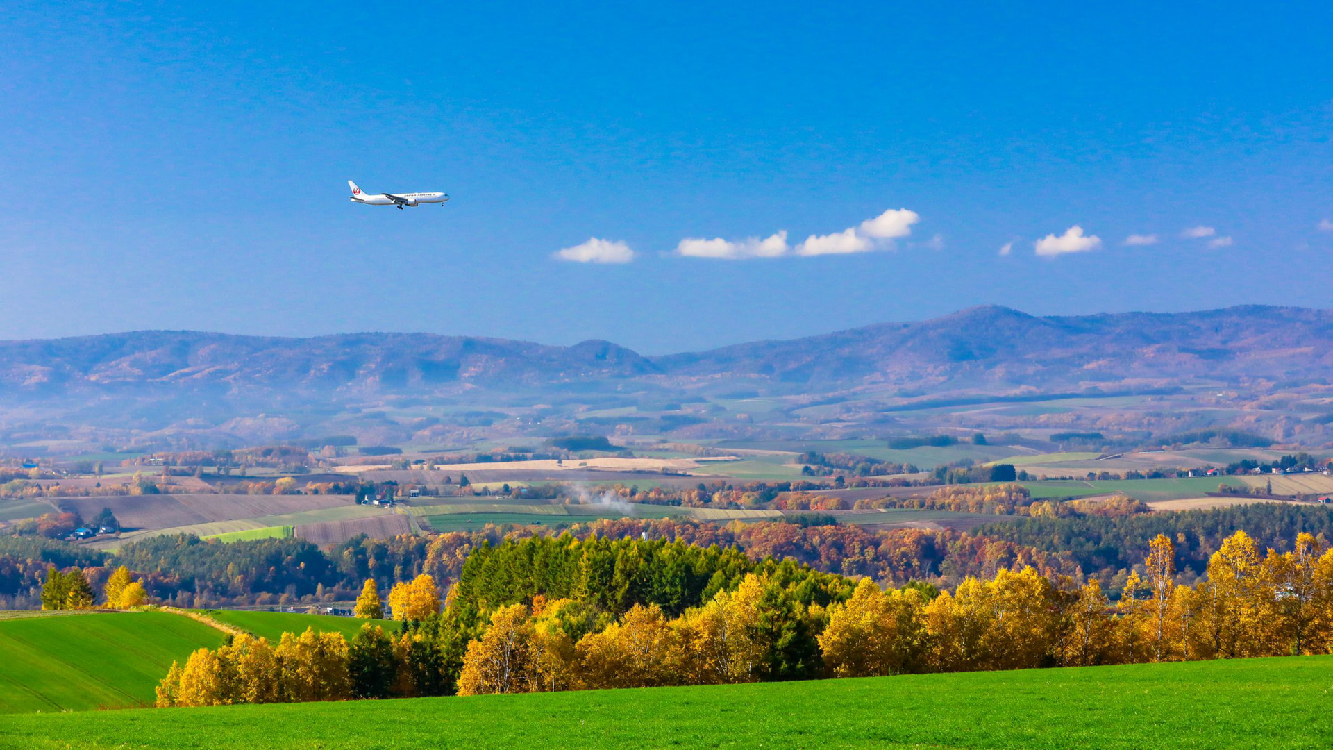 EOS 5D Mark IV／EF70-200mm F2.8L IS II USM／80mm／絞り優先AE（1/640秒・F11・±0EV）／ISO 1600／WB：オート	https://ganref.jp/m/ondeco/portfolios/photo_detail/4291866