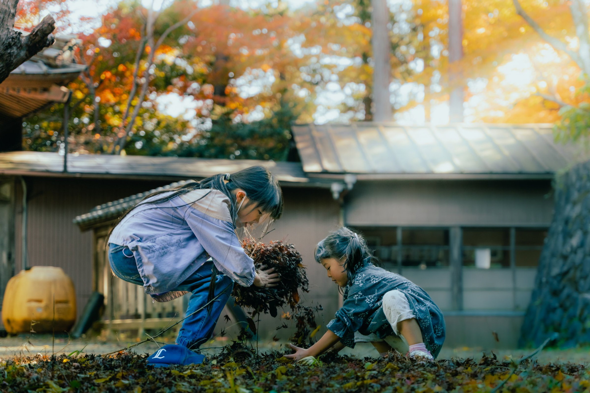 α7 IV／SIGMA 24-70mm F2.8 DG DN | Art／70mm／絞り優先AE（1/160秒・F2.8・-0.7EV）／ISO 250／WB：マニュアル	https://ganref.jp/m/taka01/portfolios/photo_detail/5030977