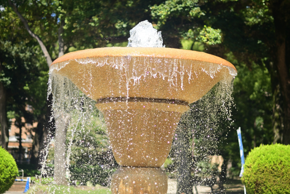 写真3（b）：撮像素子シャッター（ローリングシャッター）で撮影