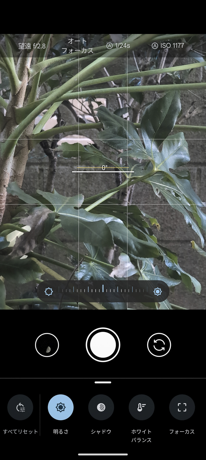 Pixel 8 Proのプロ設定