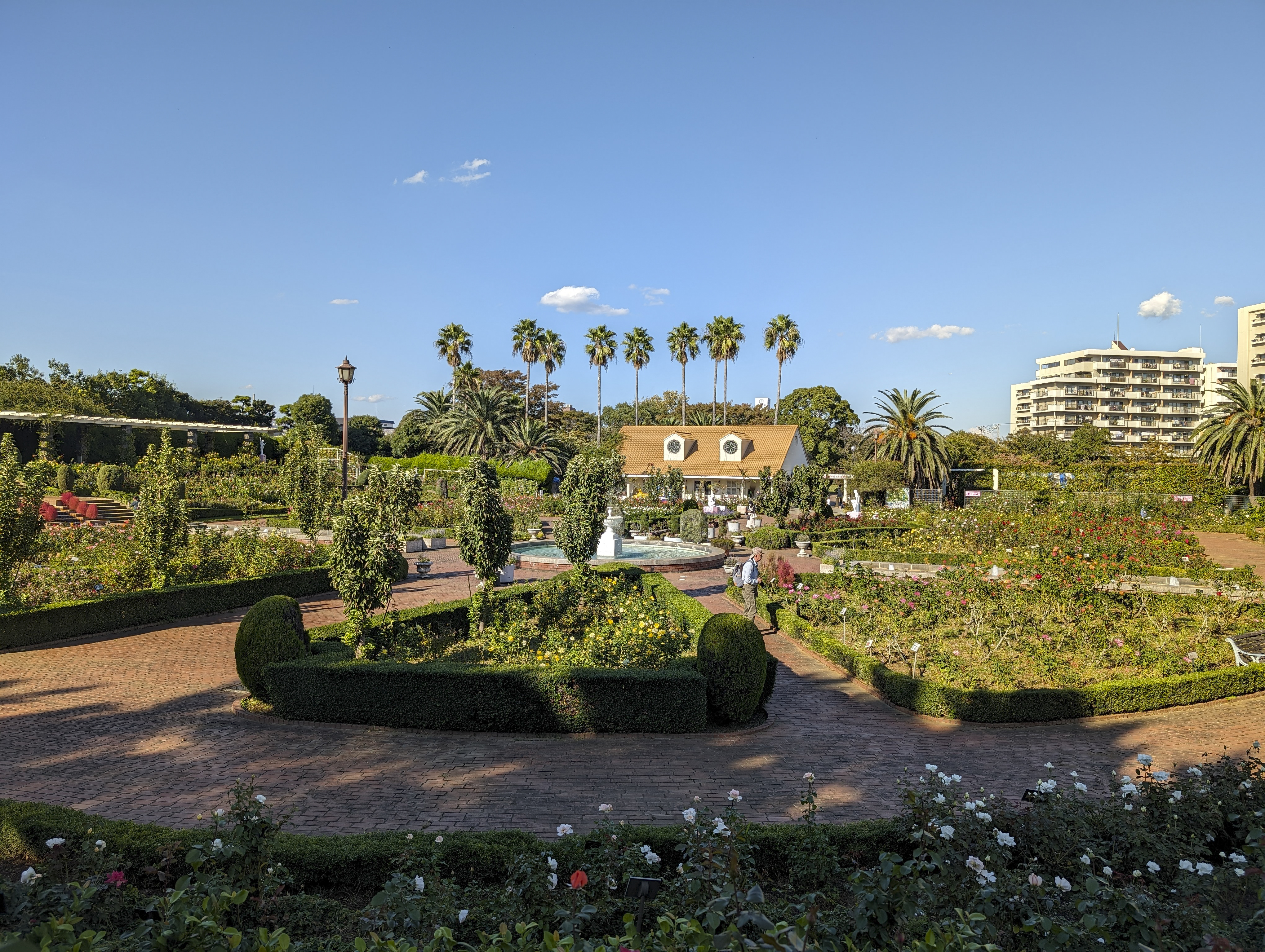 Pixel Pro 8／6.9mm（24mm相当）／1/1,100秒／F1.7／ISO 19