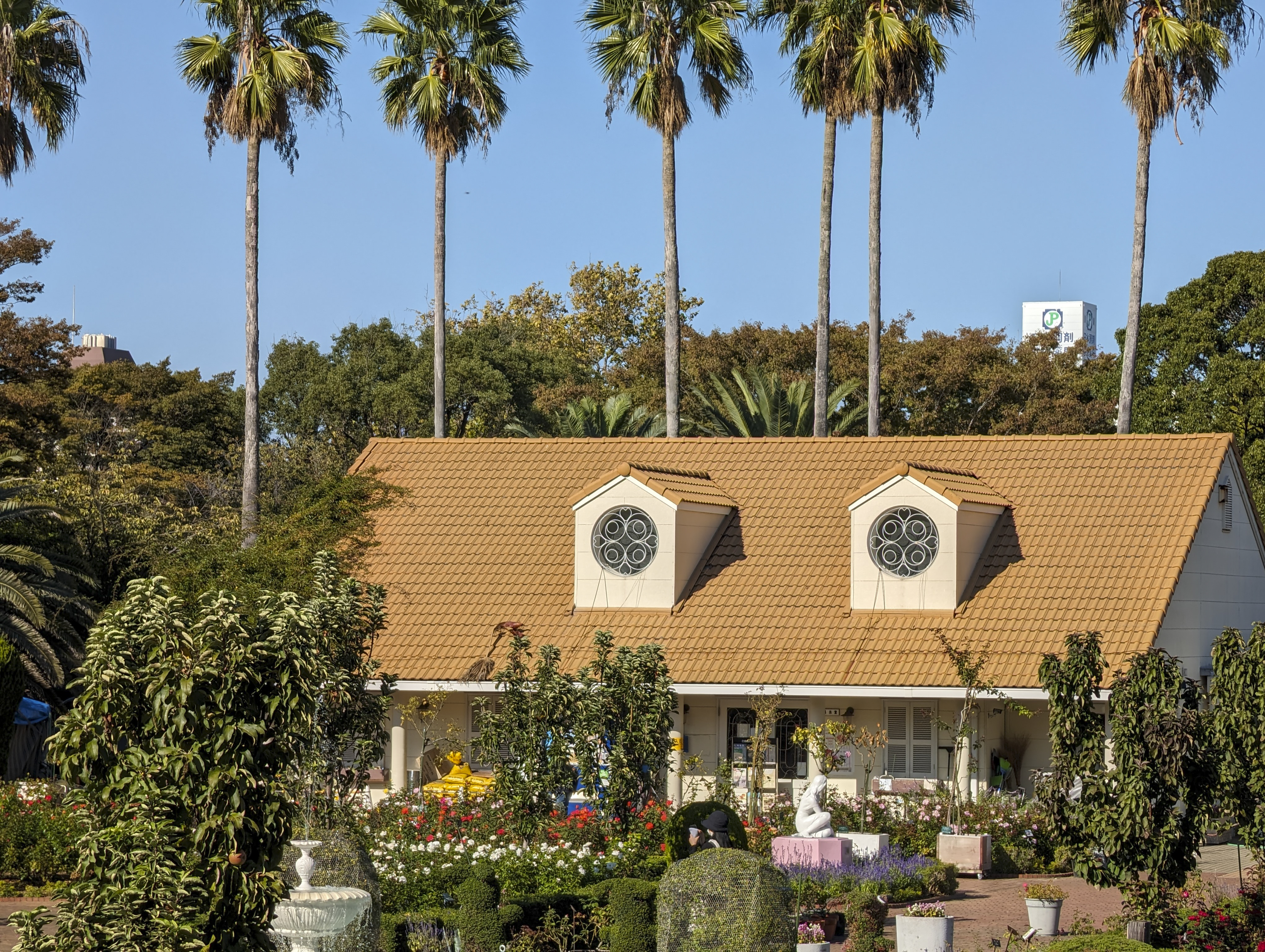 Pixel Pro 8／18mm（110mm相当）／1/610秒／F2.8／ISO 16