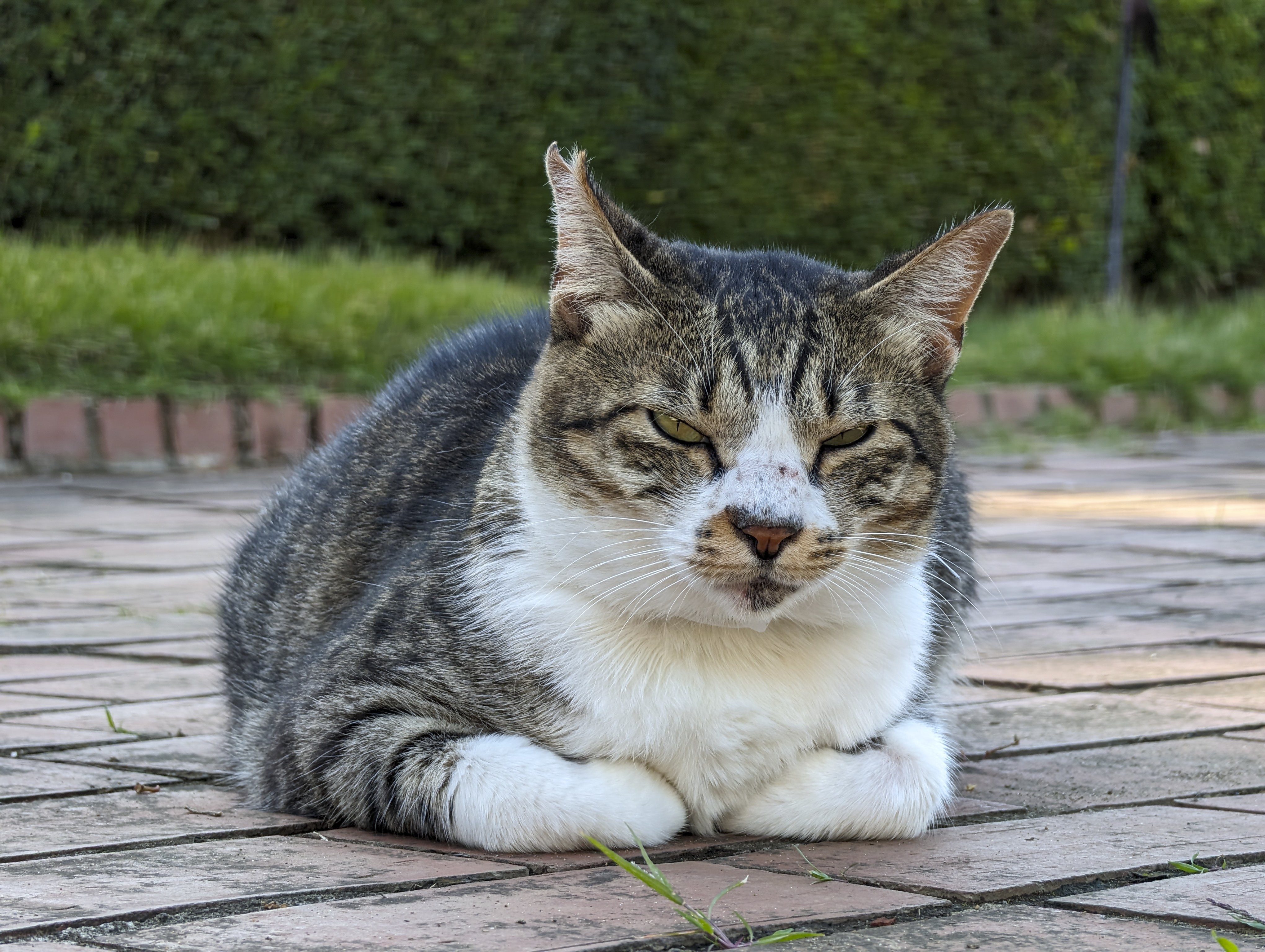 Pixel Pro 8／18mm（110mm相当）／1/110秒／F2.8／ISO 54