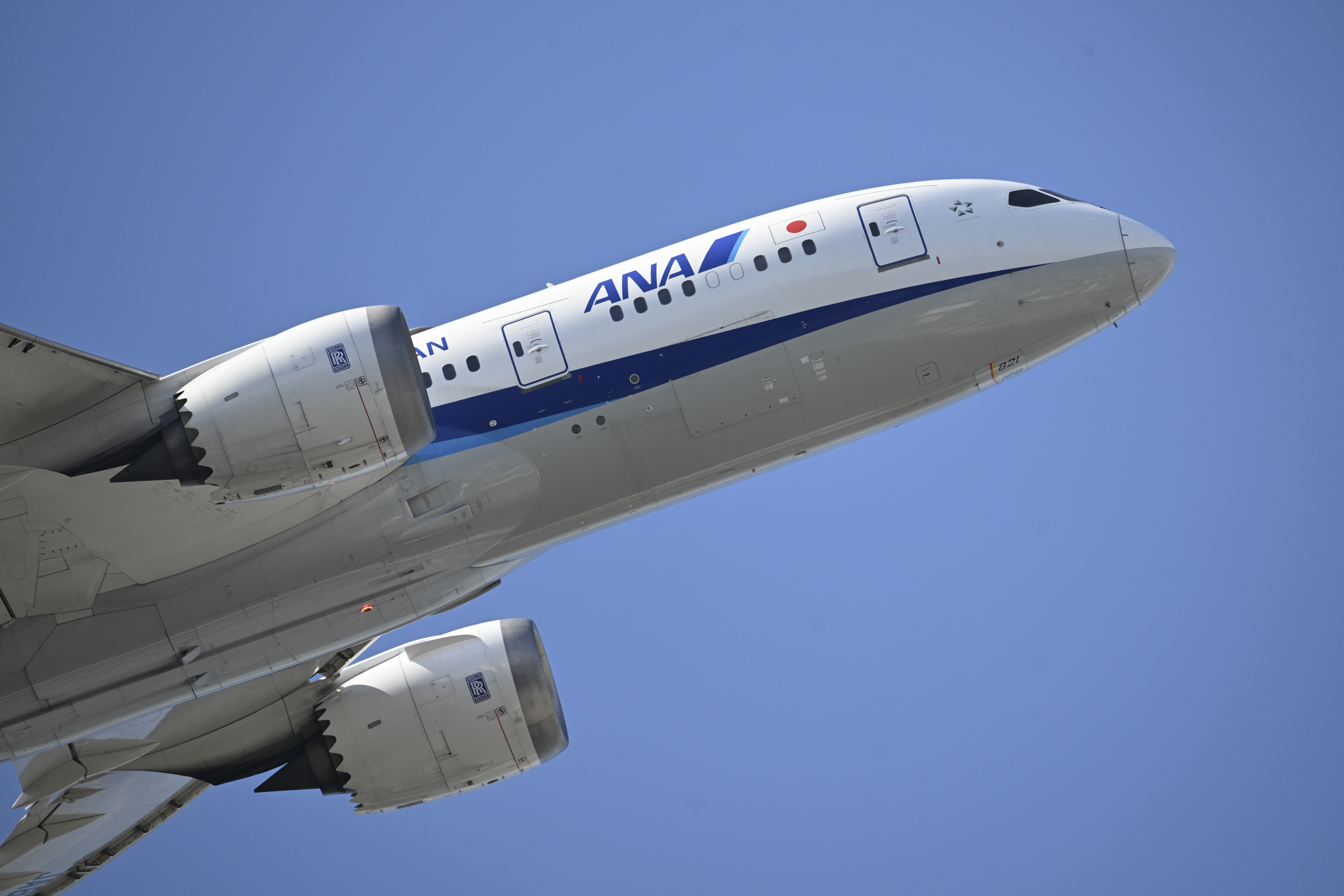 Z 9／NIKKOR Z 600mm f/6.3 VR S／マニュアル露出（1/1,600秒、F6.3）／ISOオート+0.3（ISO 500）