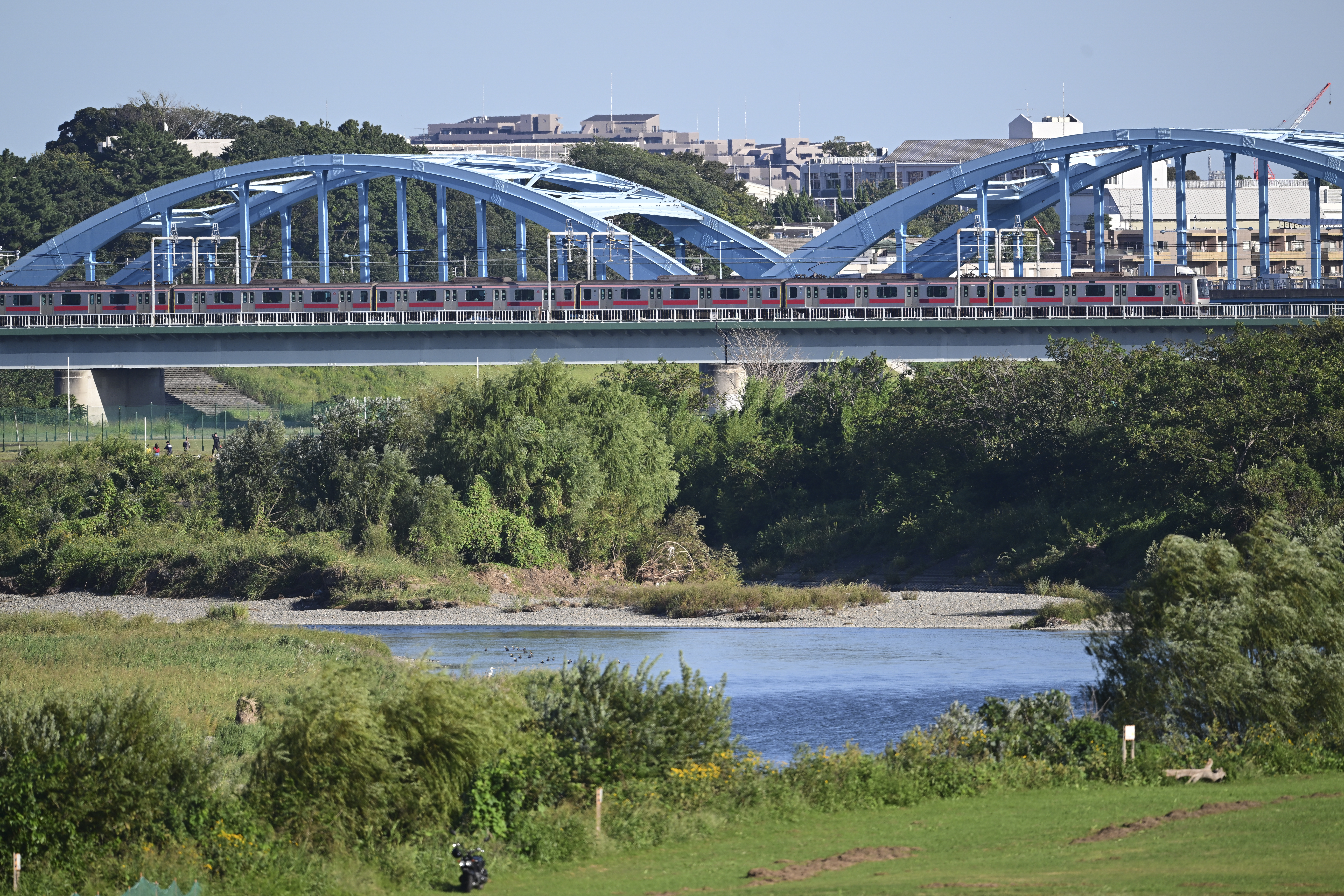 Z 9／NIKKOR Z 600mm f/6.3 VR S／マニュアル露出（1/800秒、F6.3）／ISOオート（ISO 280）