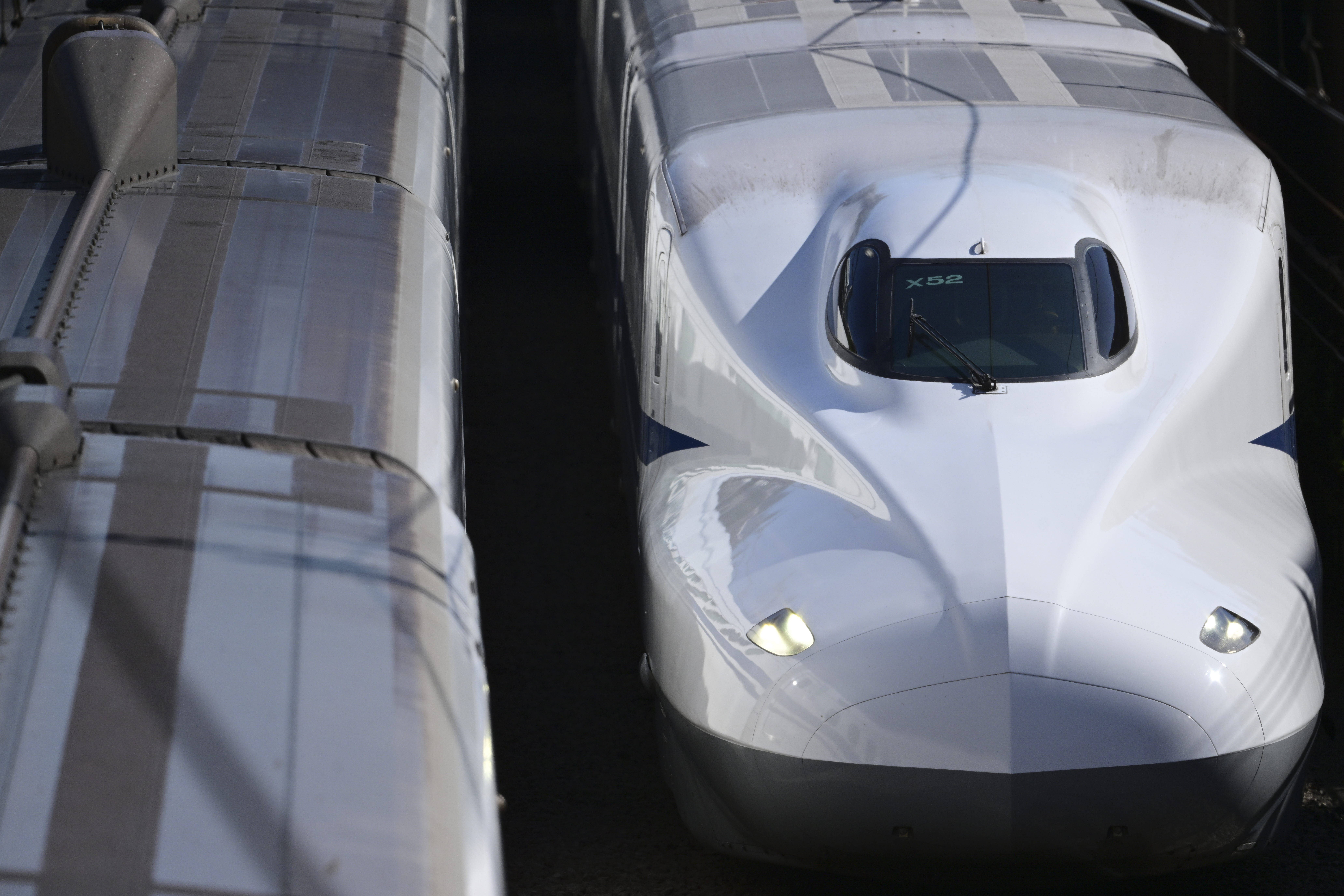 Z 9／NIKKOR Z 600mm f/6.3 VR S／マニュアル露出（1/1,600秒、F7.1）／ISOオート+0.7（ISO 400）