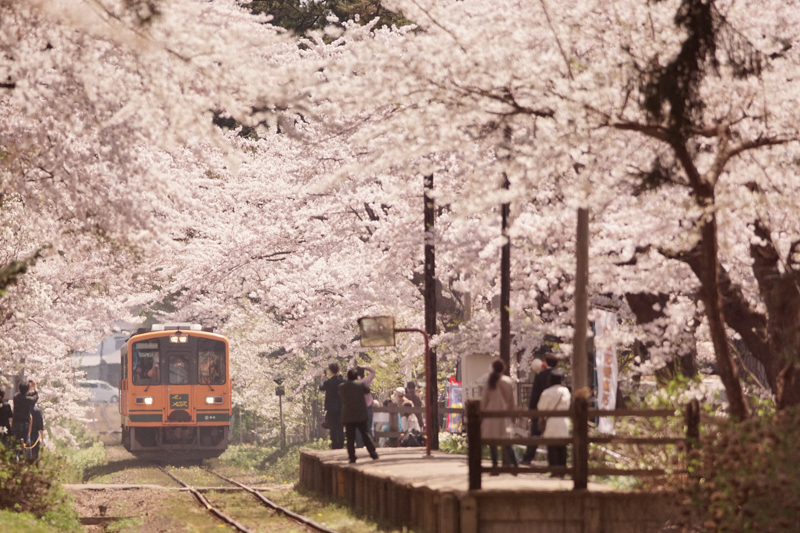 ソニーα77 II／300mm F2.8 G SSM II／絞り優先オート（450mm相当・F2.8・1/5,000秒）／ISO 400／WB:日陰