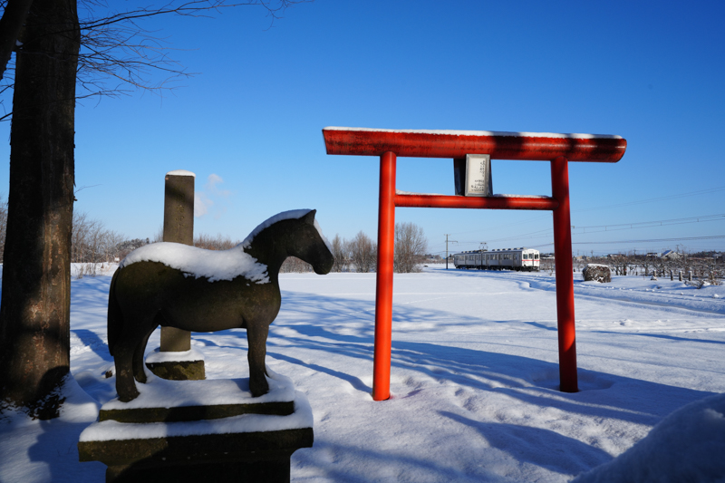 ソニーα7R V／FE 16-35mm F2.8 GM／マニュアル露出（26mm・F11・1/640秒）／ISO 400／WB:太陽光