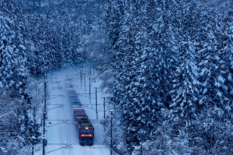 ソニーα1／FE 200-600mm F5.6-6.3 G OSS／絞り優先オート（234mm・F5.6・1/500秒）／ISO 1600／WB:太陽光