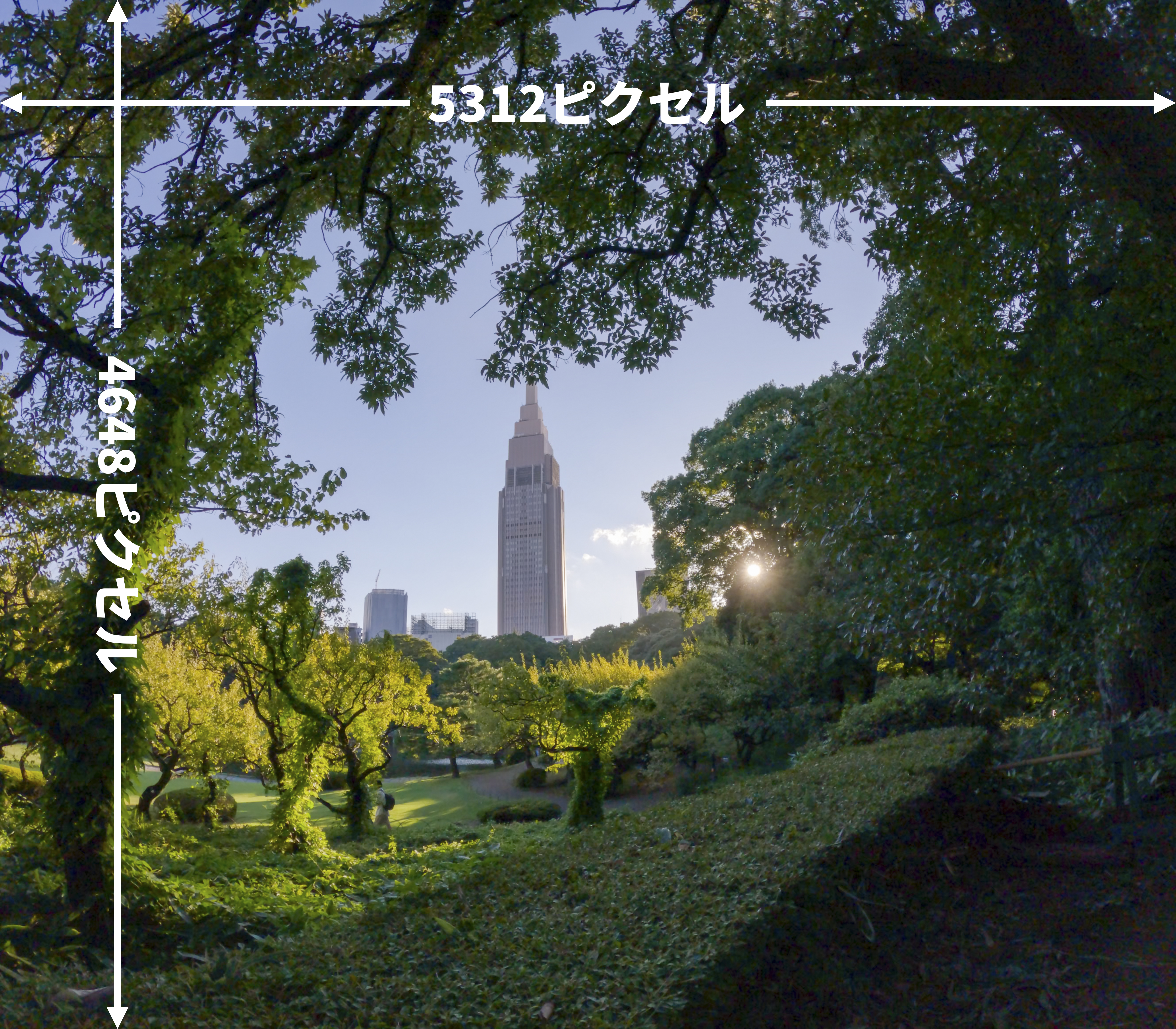 8：7比率の動画は横：5312ピクセル×縦：4648ピクセルの大きさ。したがって、縦長にクロップしても横長にクロップしても、4K（4,000ピクセル）のクオリティが維持できる