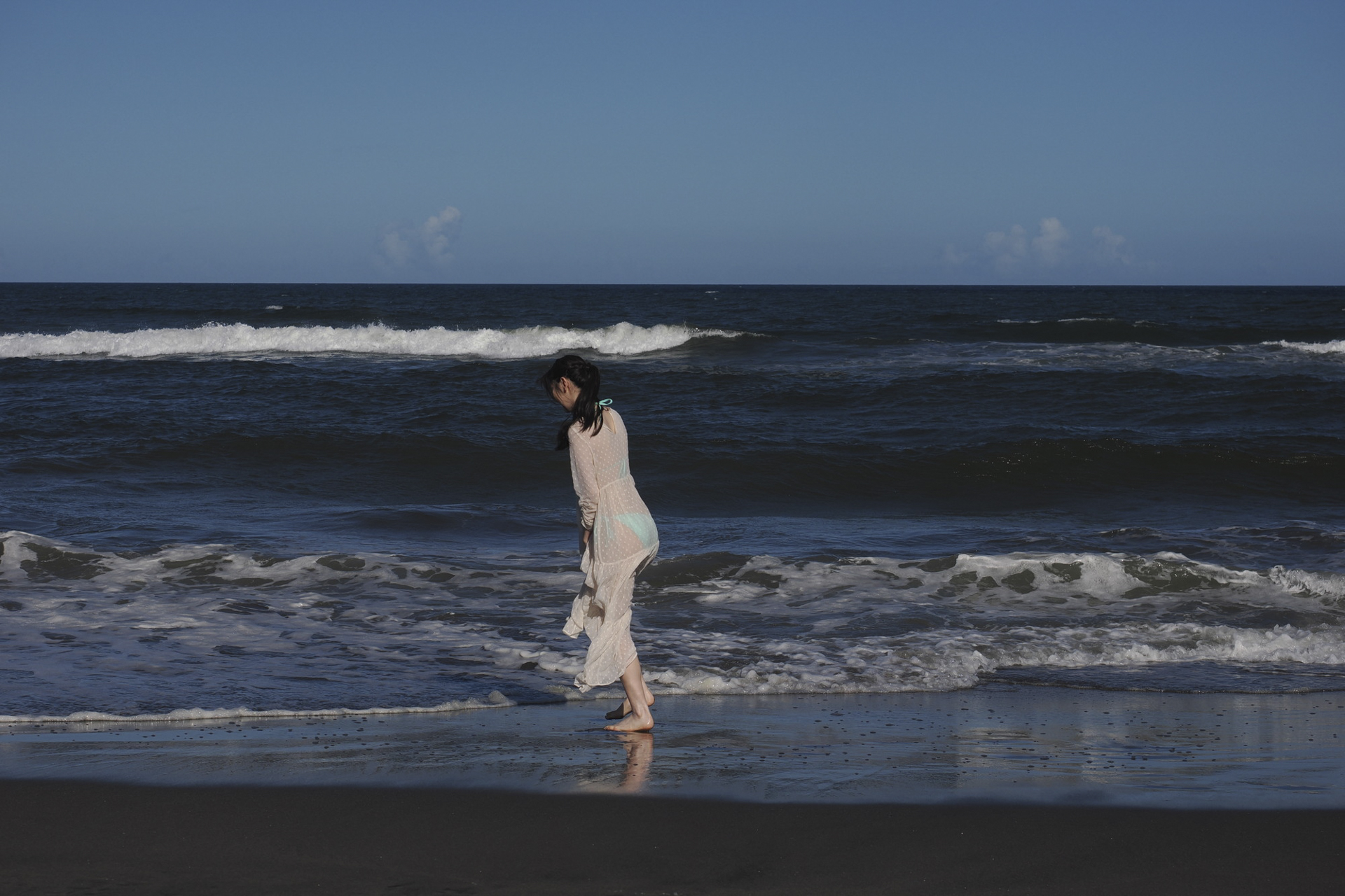 撮影は8月下旬、千葉にて