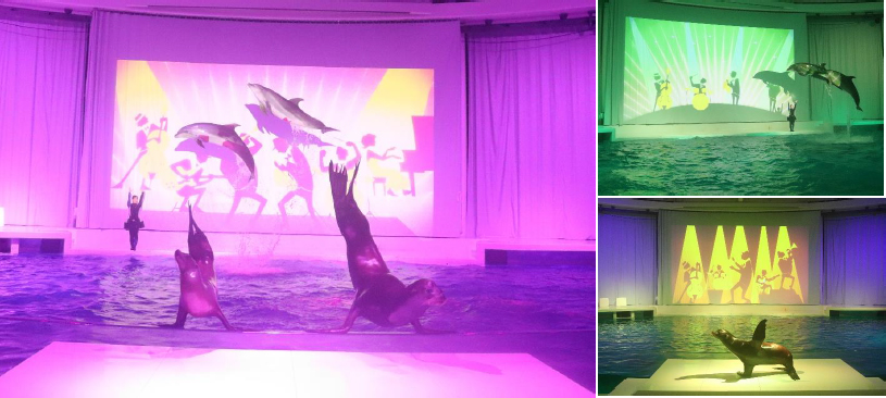 驚きの海ゾーン