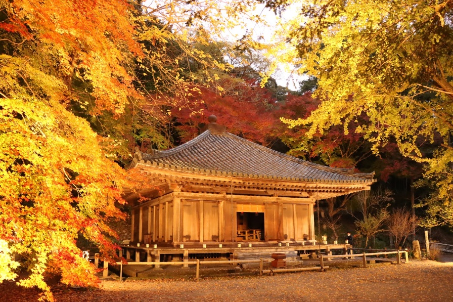 国宝富貴寺大堂