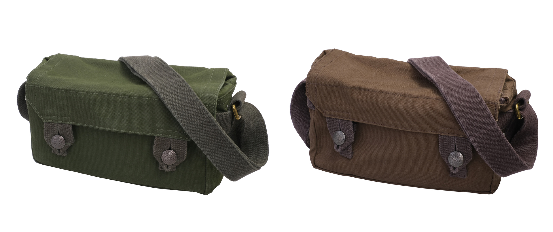 左がオーリブ、右がコヨーテ